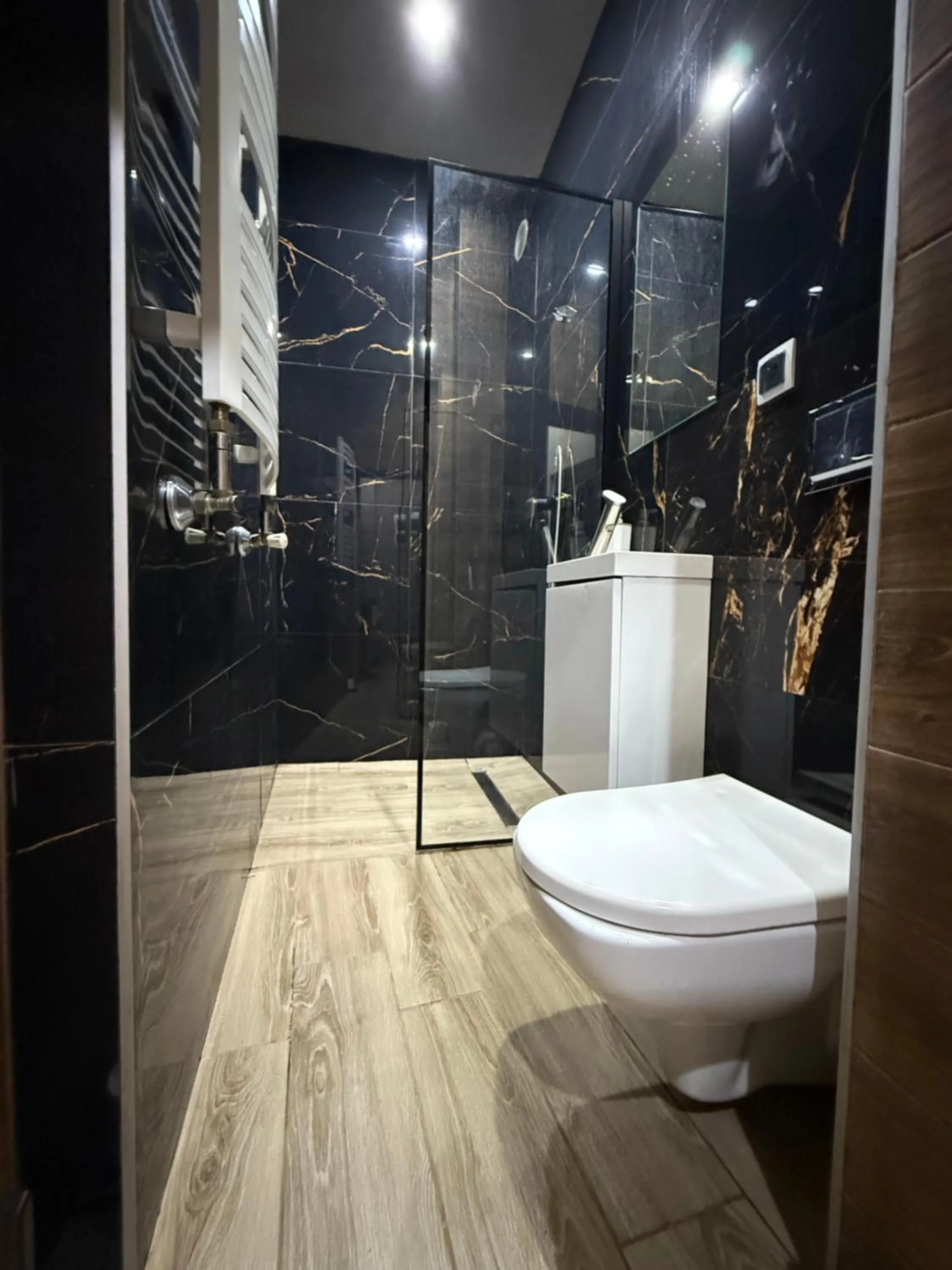 Toilet in Apartamenty PRETTY WOMAN meldunek samodzielny 24h - noclegi Bytom Chorzów Katowice