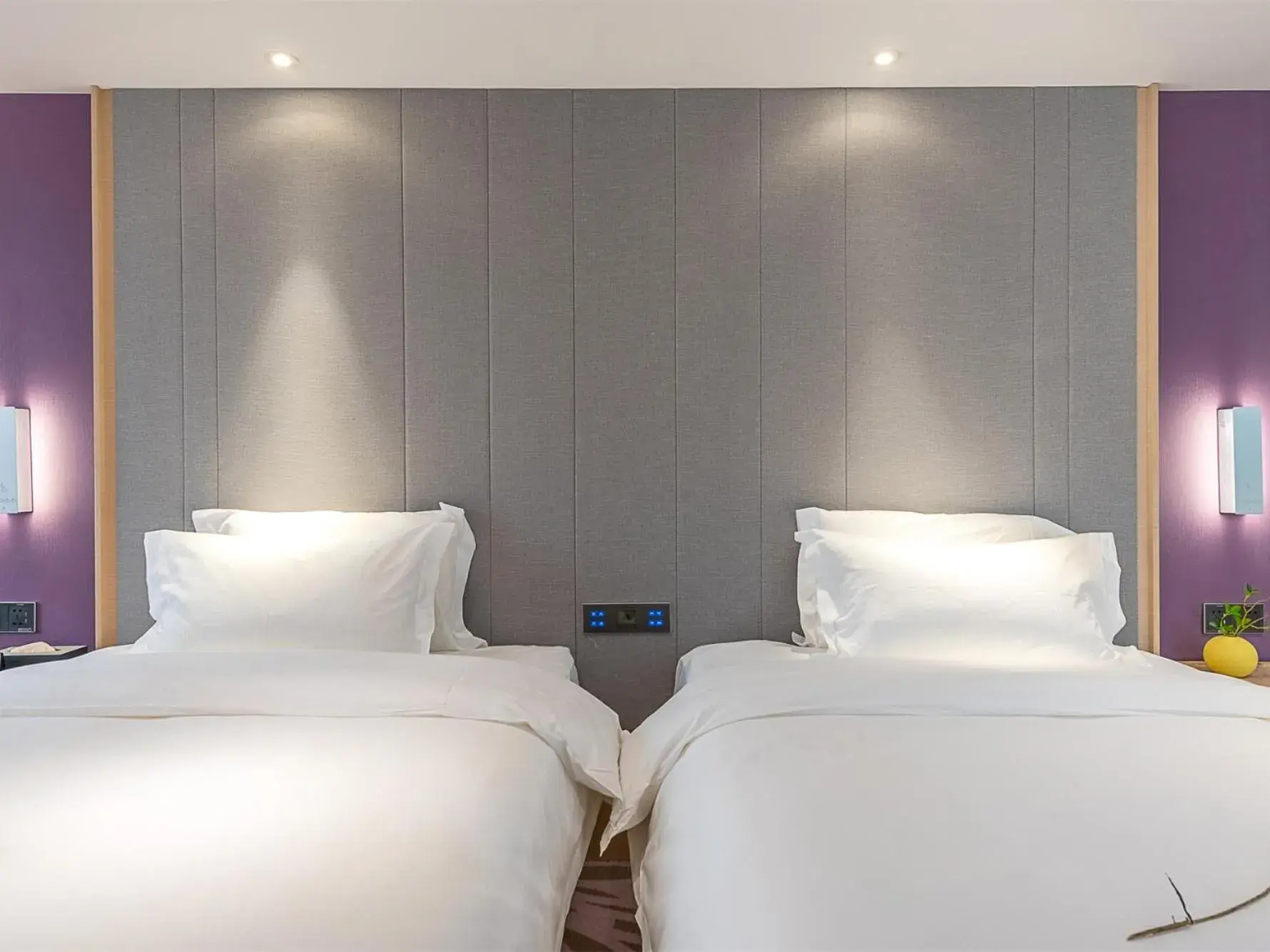 Deluxe Twin Room in Lavande Hotel Guangzhou east railway station Tianpingjia Subway Station Branch Deluxe Twin Room in Lavande Hotel Guangzhou east railway station Tianpingjia Subway Station Branch