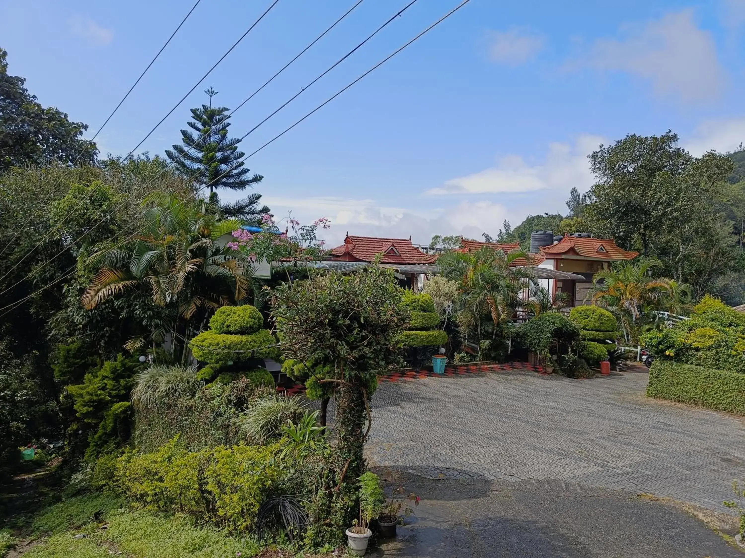 Property building in Green Trees Munnar Property building in Green Trees Munnar
