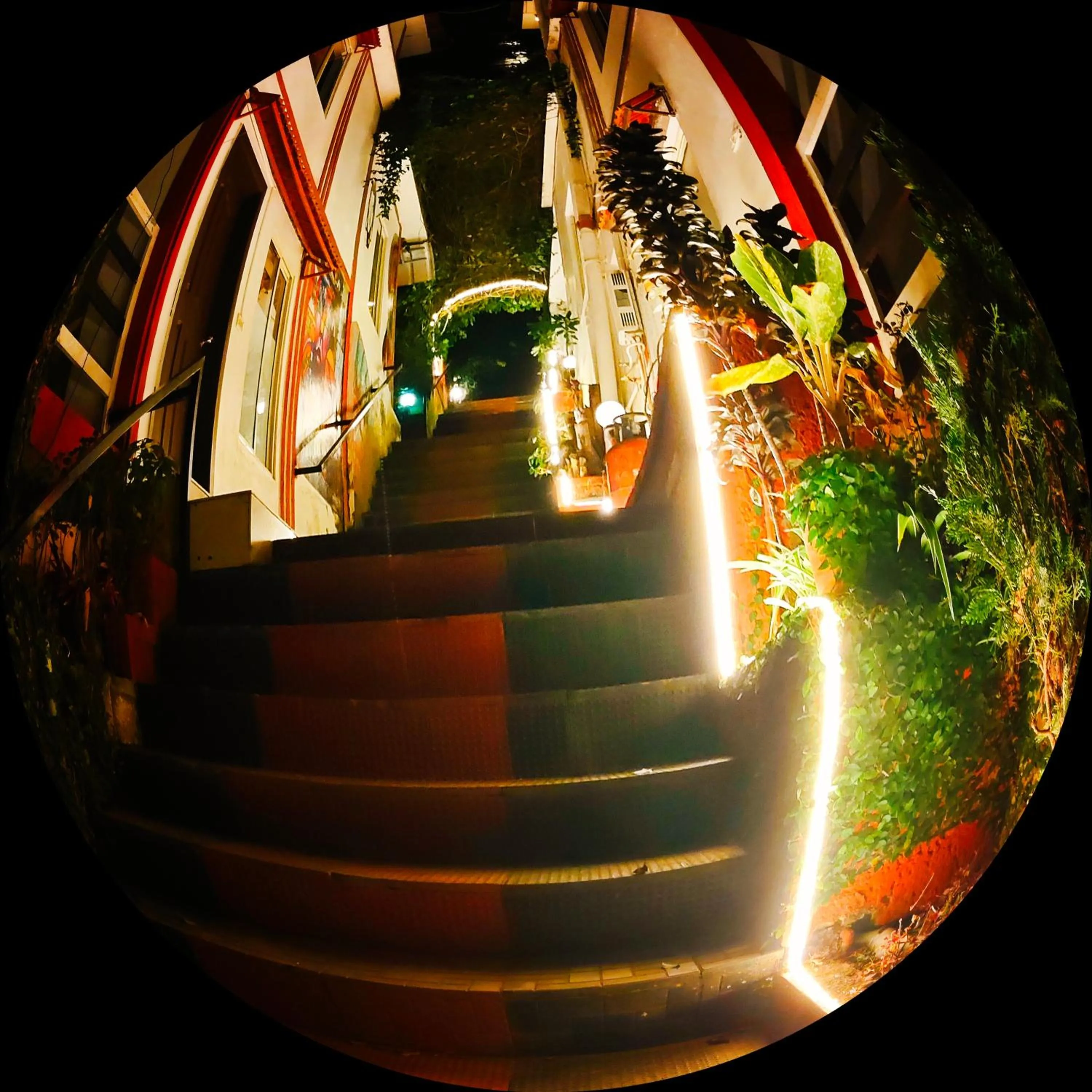 Property building in Green Trees Munnar