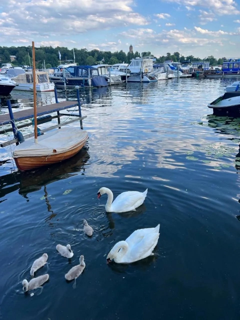 Pension am Tiefen See