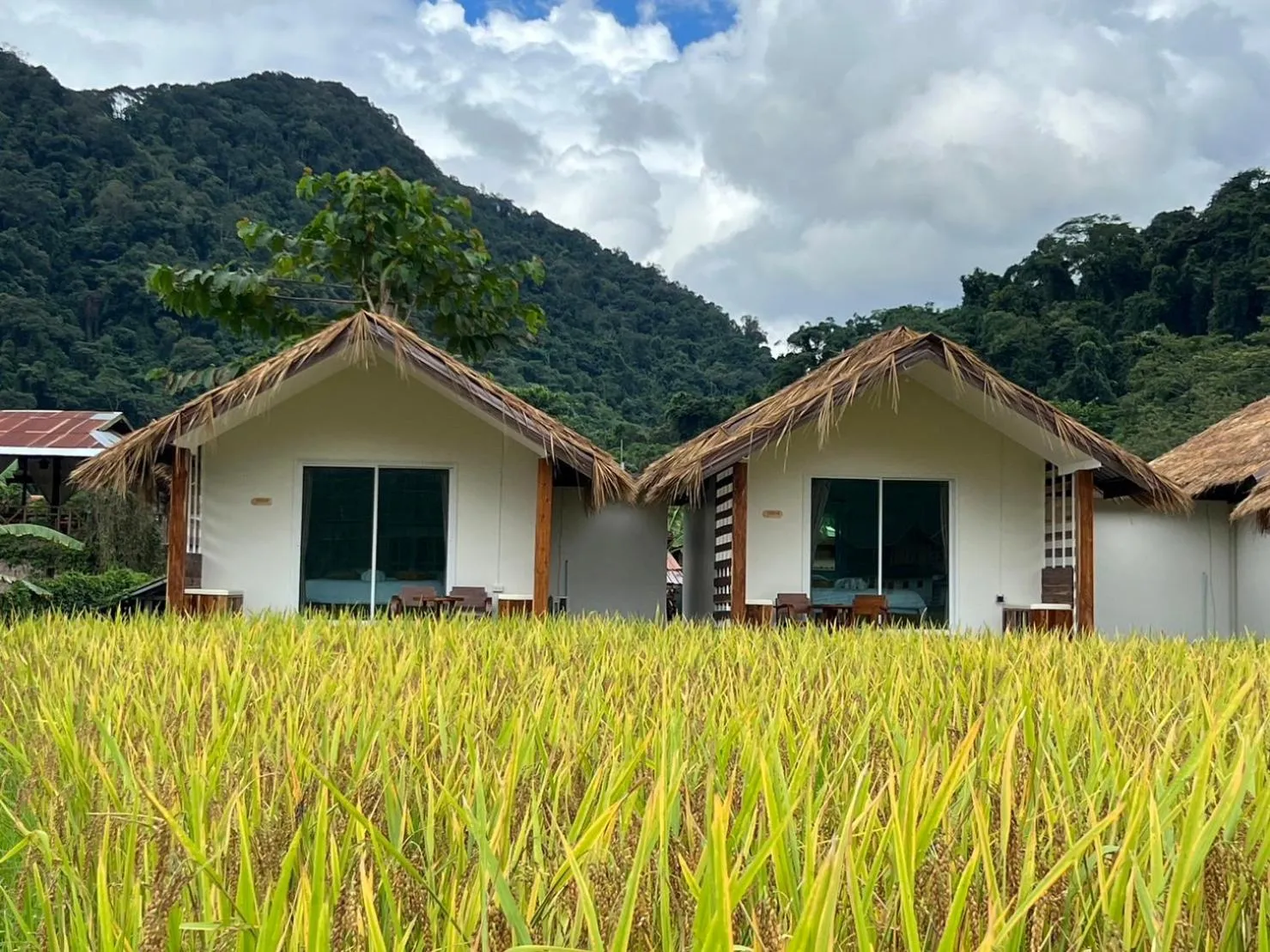 สะปันดีวิว Sapan Dee View บ่อเกลือ น่าน