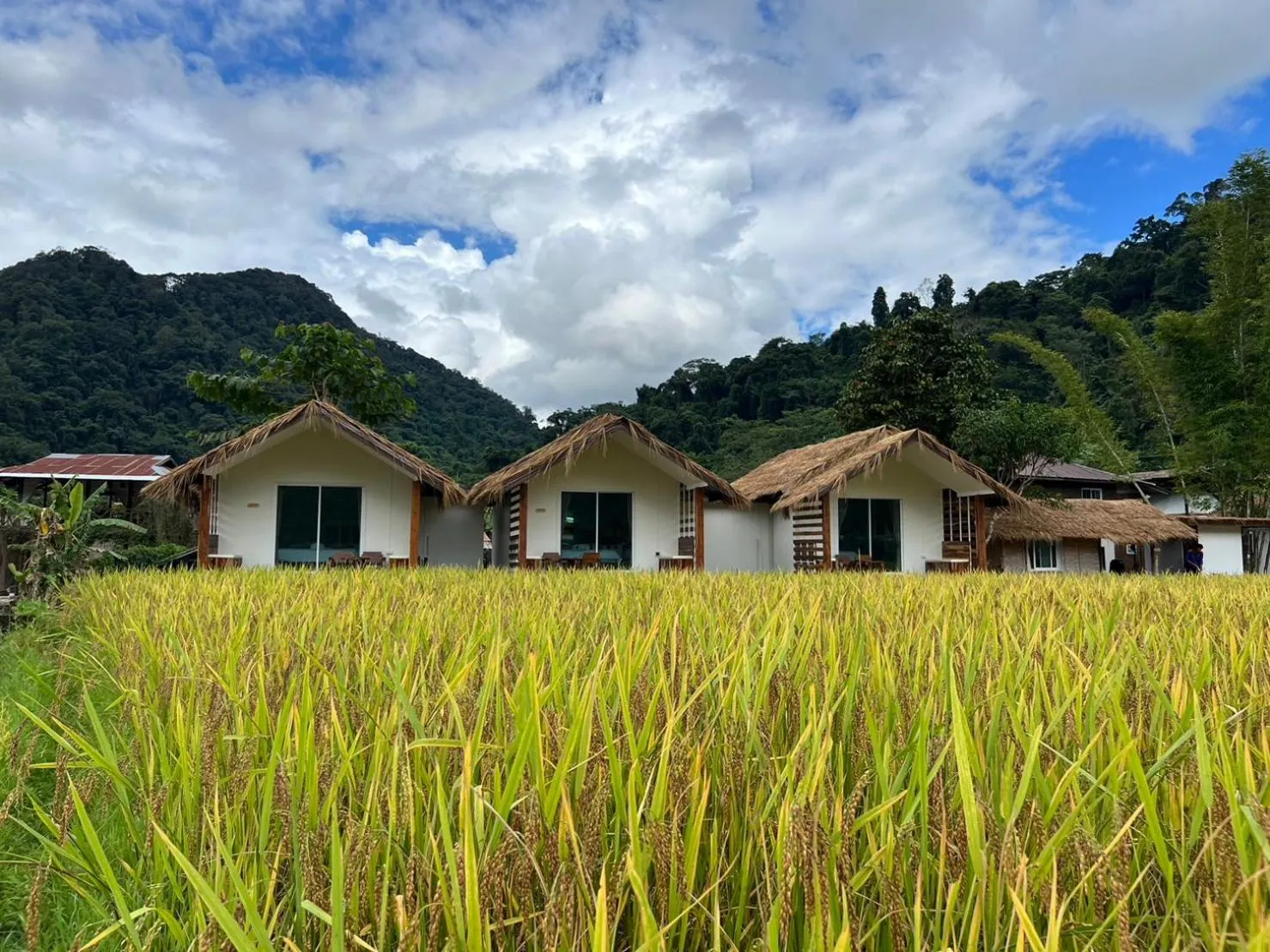 สะปันดีวิว Sapan Dee View บ่อเกลือ น่าน