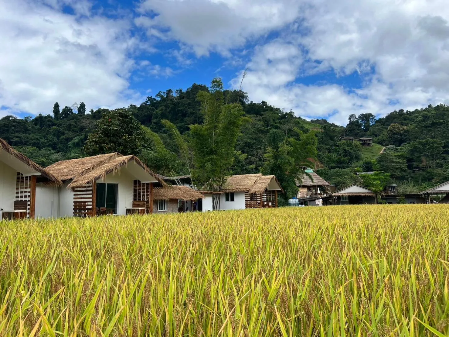 สะปันดีวิว Sapan Dee View บ่อเกลือ น่าน
