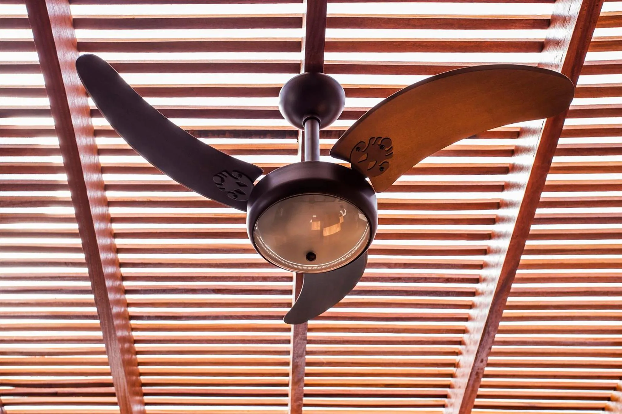 fireplace in Residencial Marina Del Sol