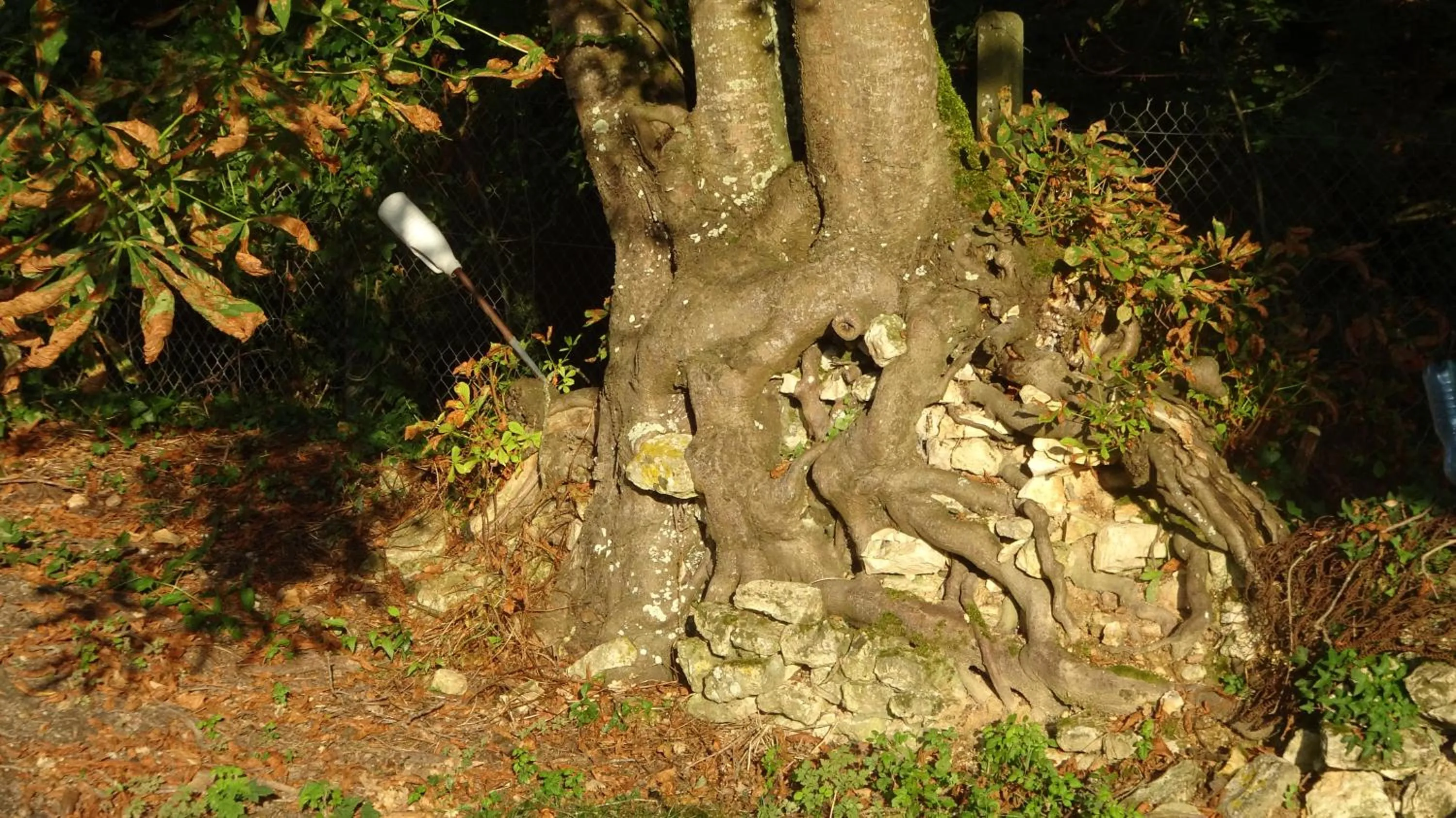 Garden in Campagne Océan