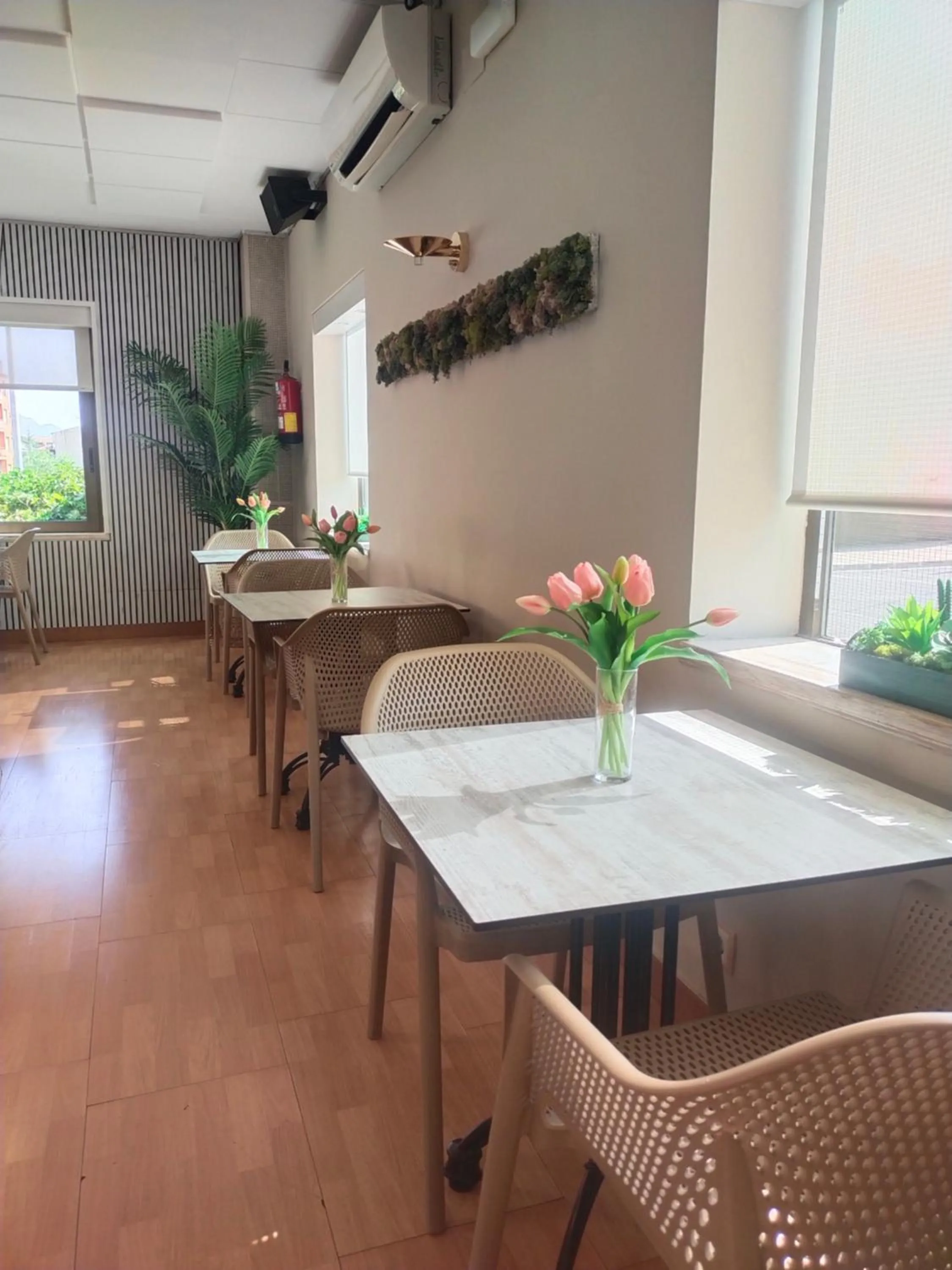 Restaurant/places to eat in Hostal Buenos Aires