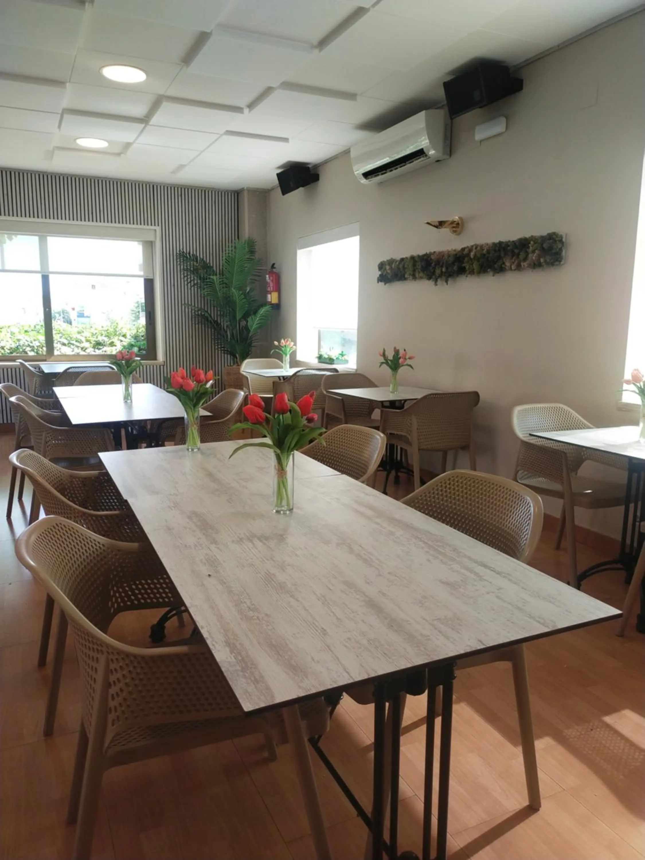 Restaurant/places to eat in Hostal Buenos Aires