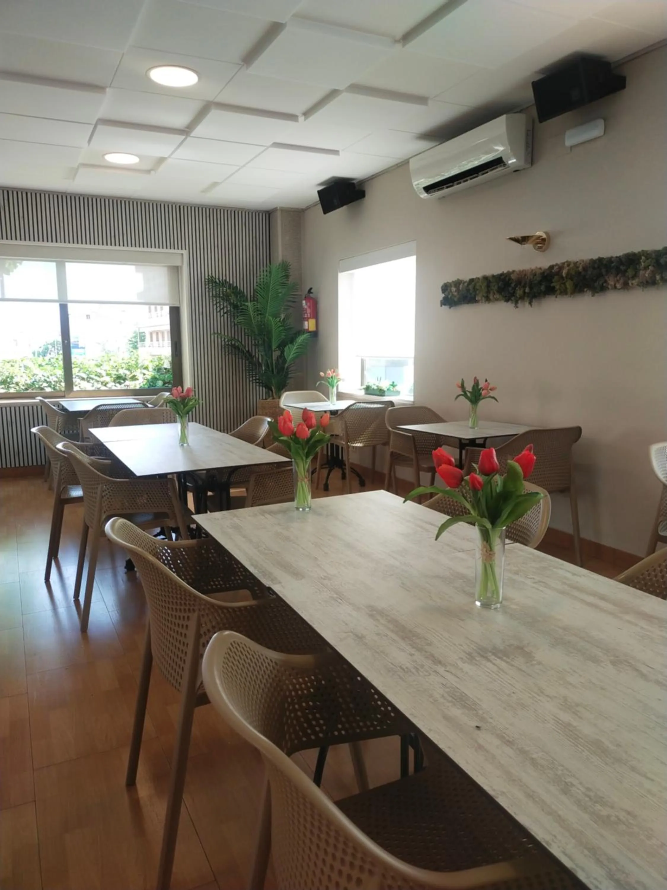 Restaurant/places to eat in Hostal Buenos Aires