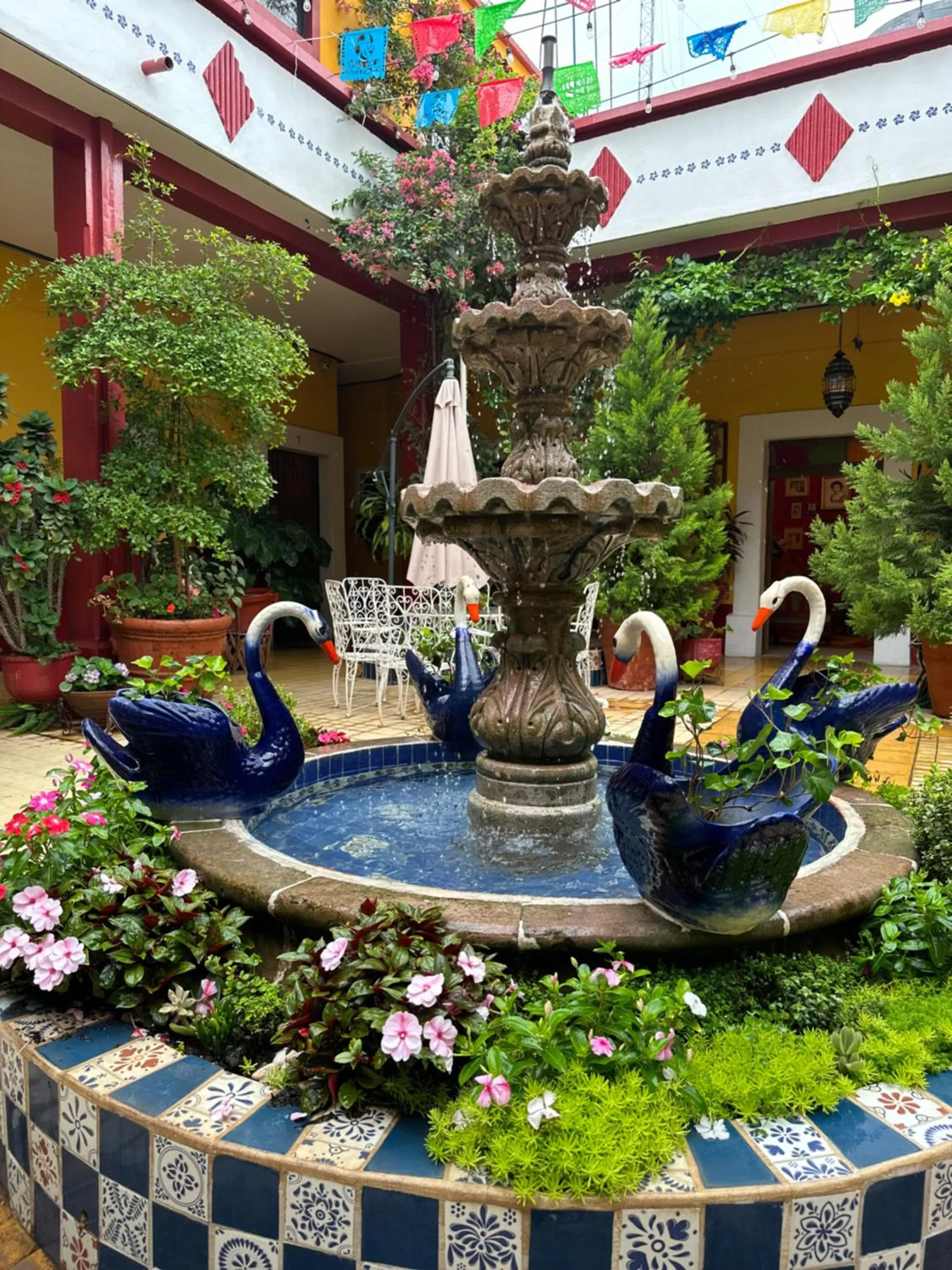 Garden in Copa de Oro Hotel Boutique