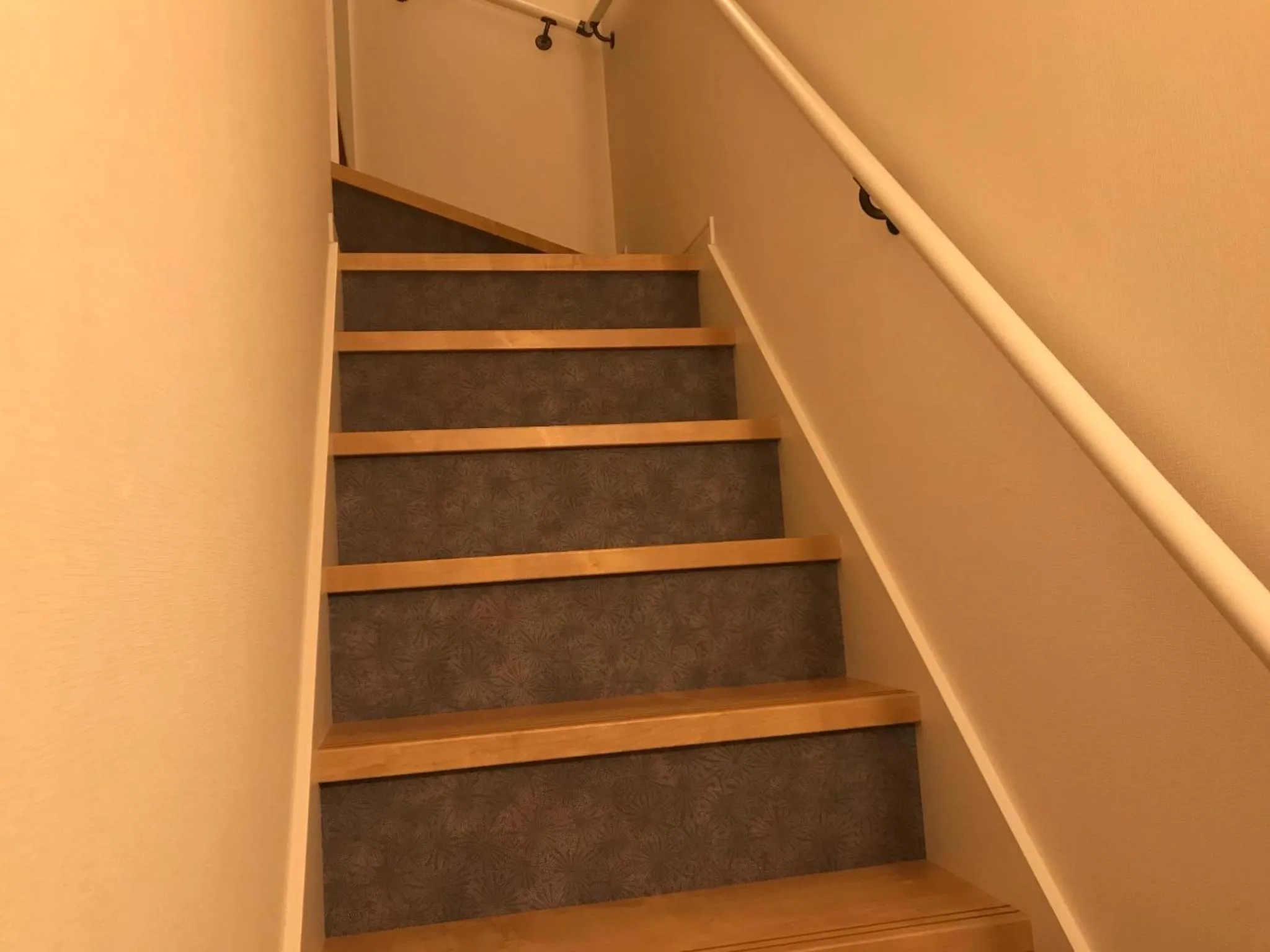 KYOSTAY Iroha Soragi 2 - Vacation STAY 04182v