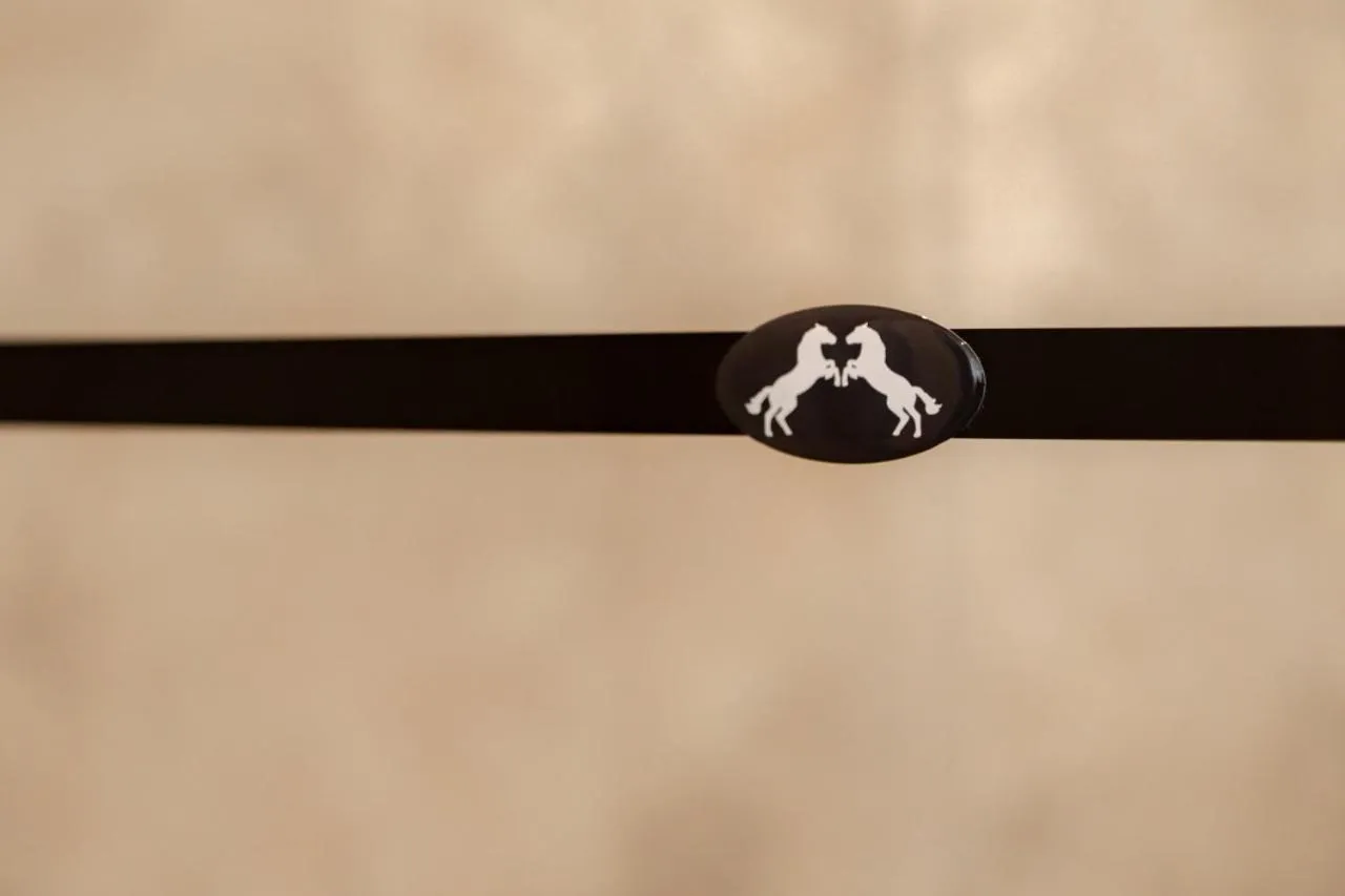 Hotel Schwarzes Ross