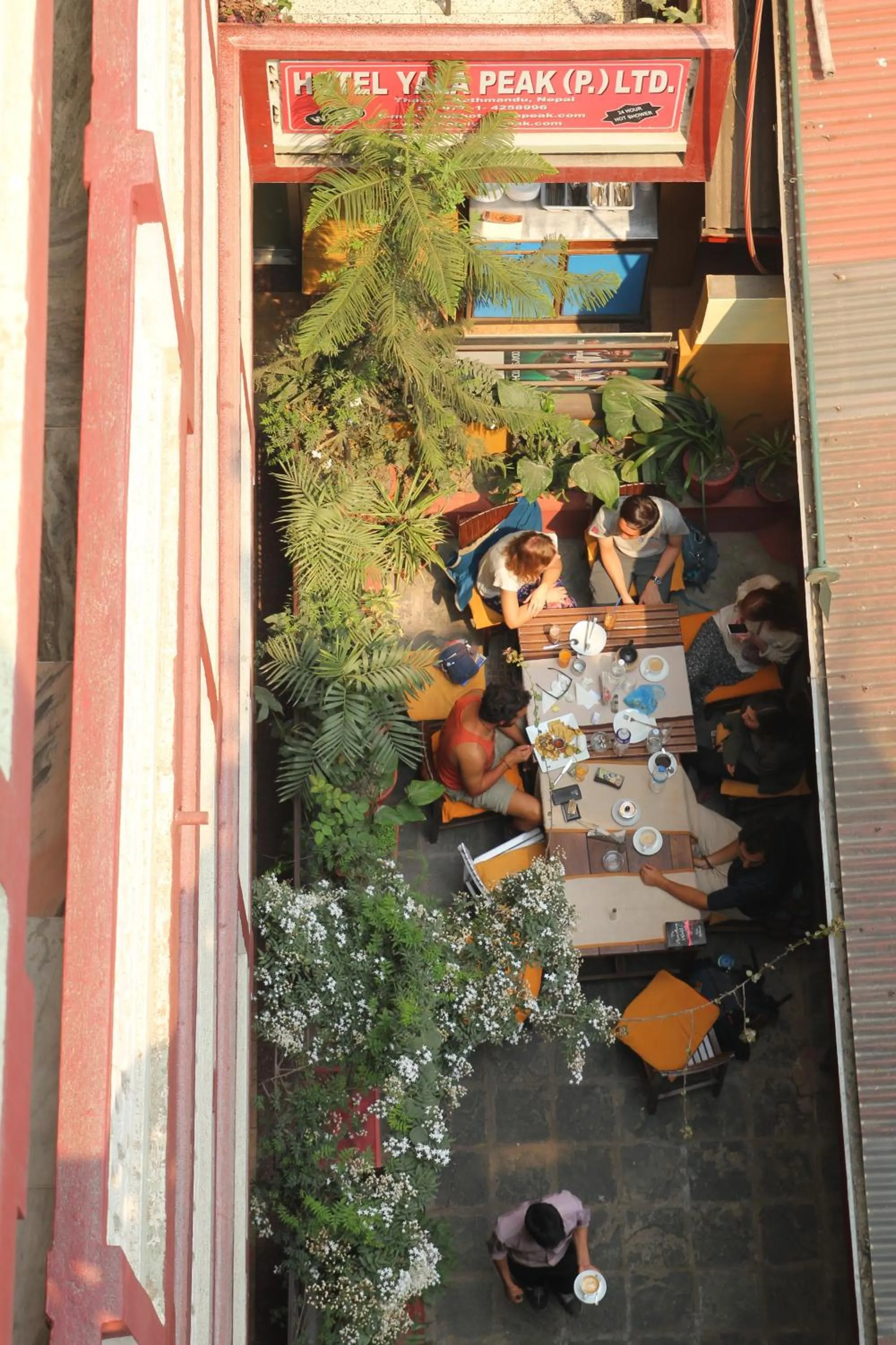 Garden in Hotel Yala Peak