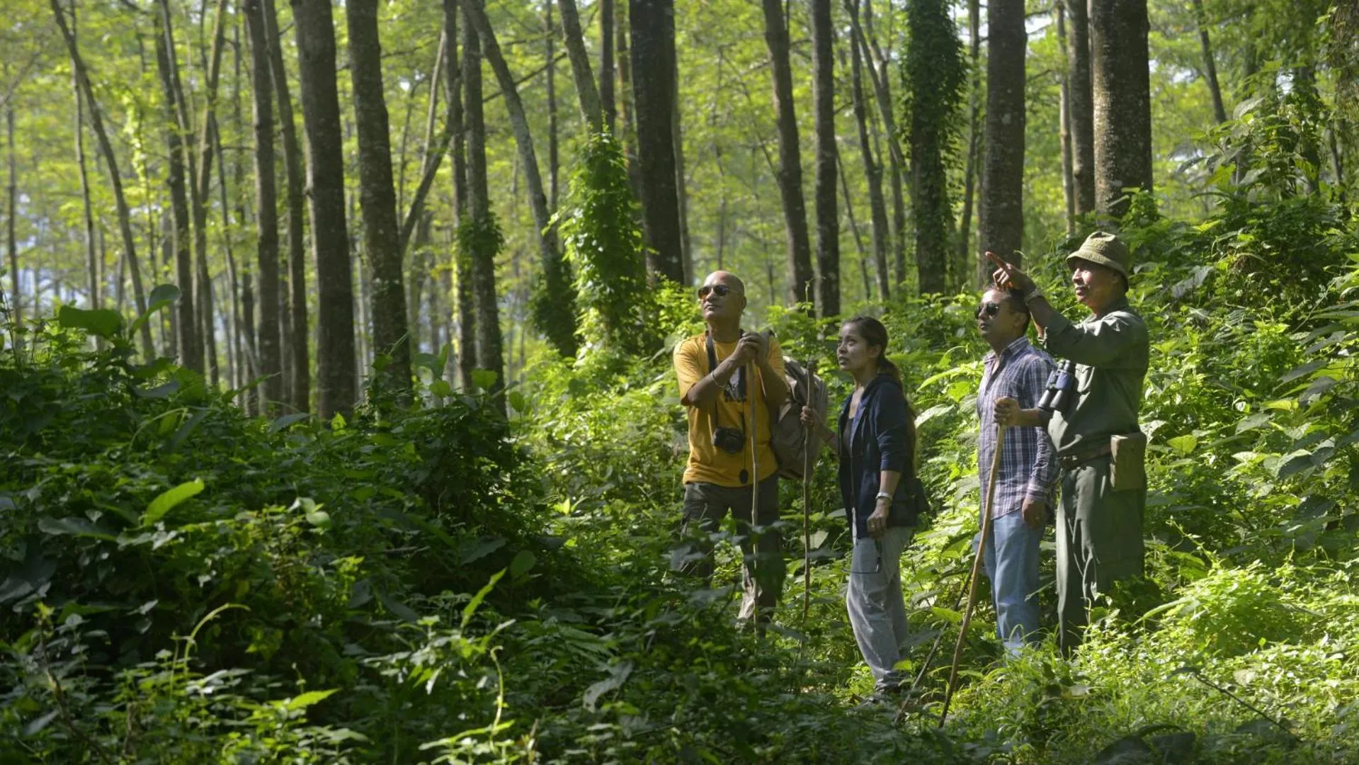 Activities in Barahi Jungle Lodge