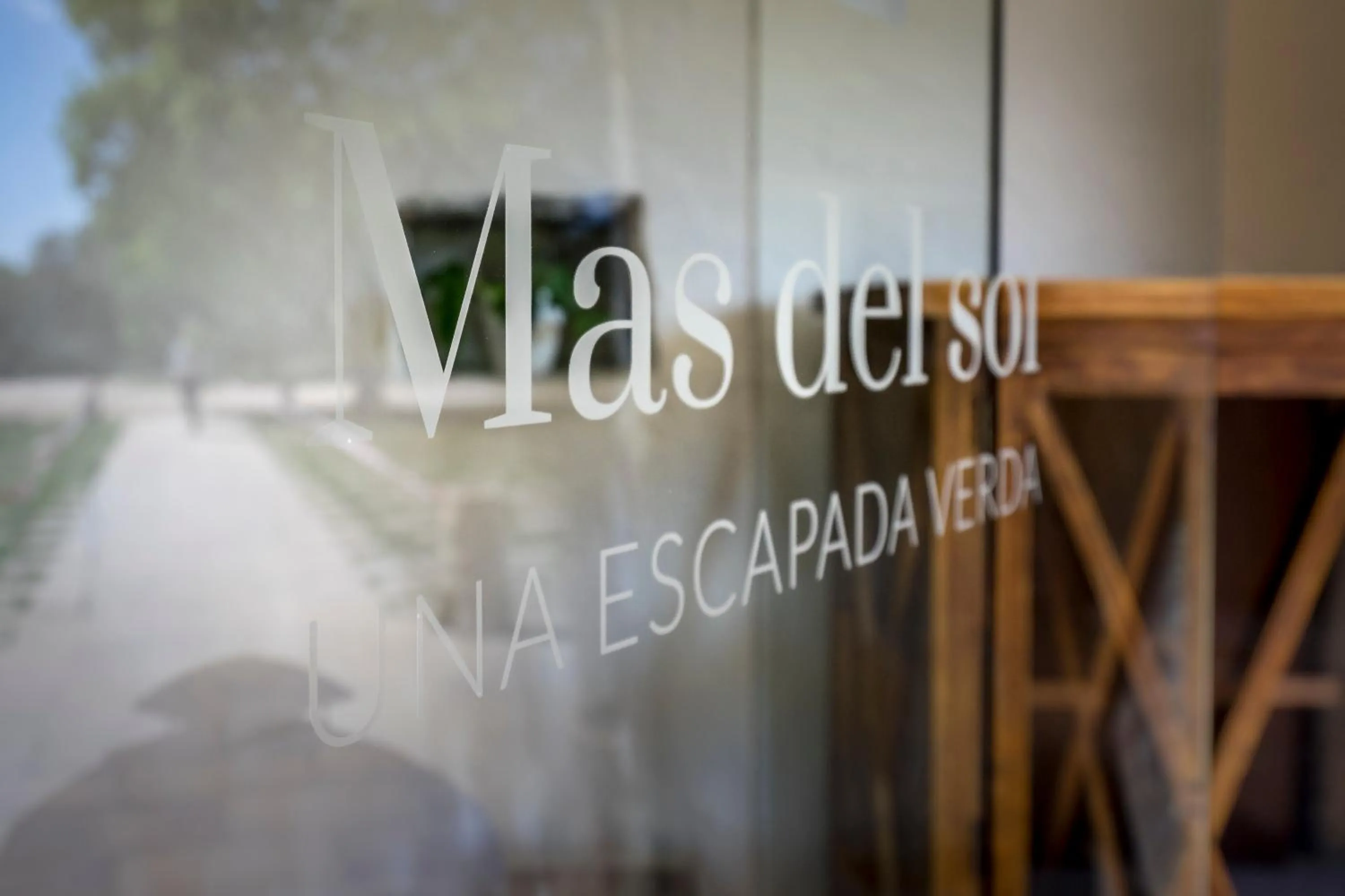 Lobby or reception in Hotel Mas del Sol