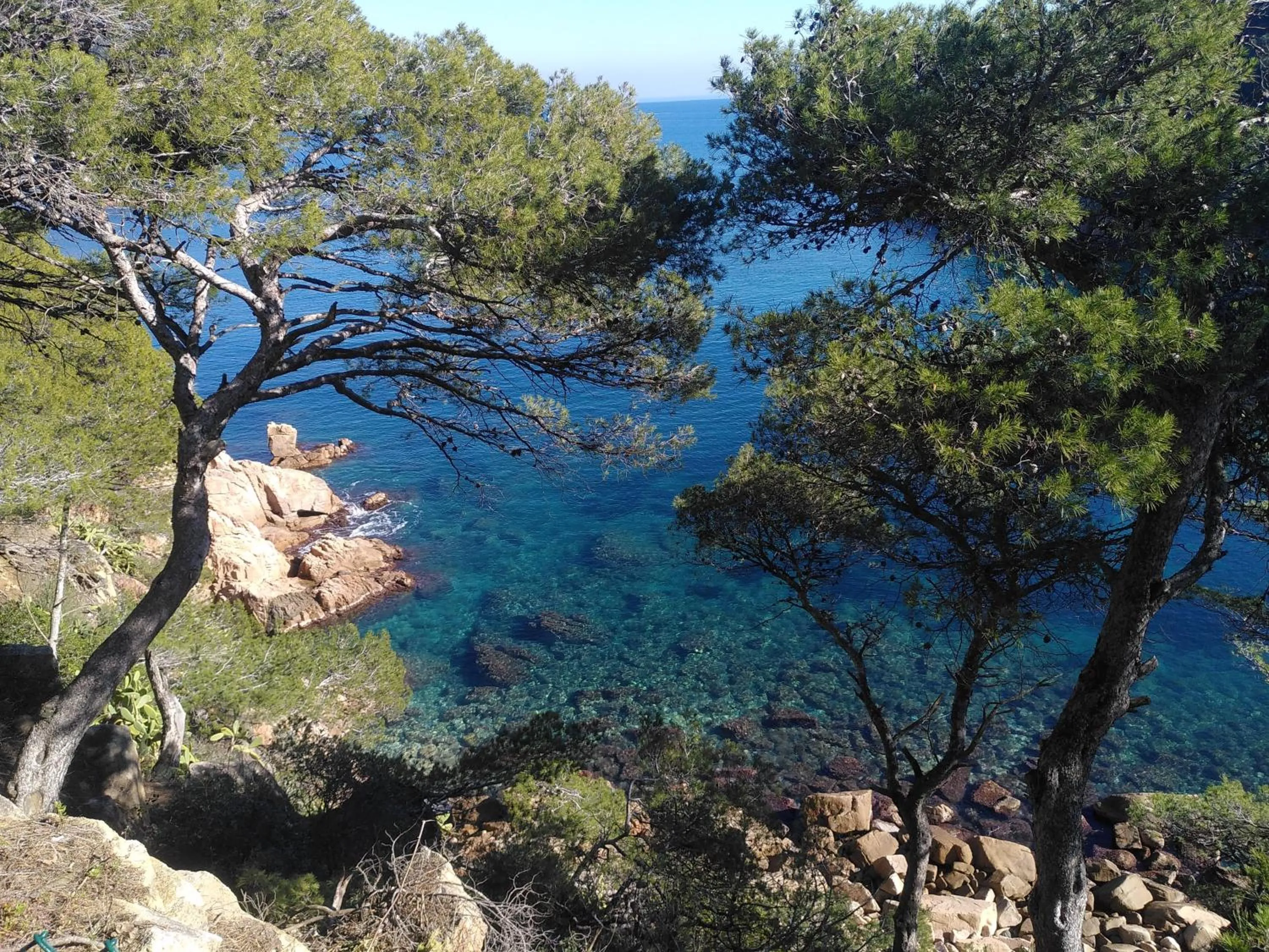 Nearby landmark in Hotel Mas del Sol