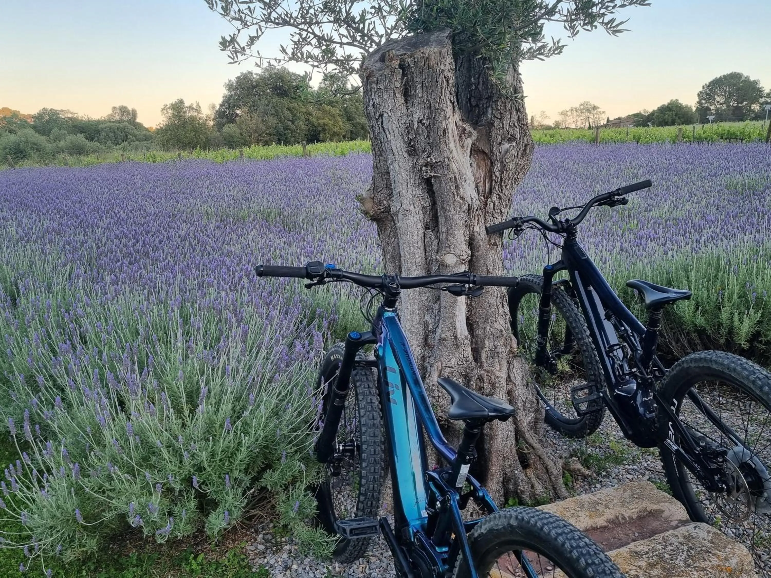 Cycling in Hotel Mas del Sol