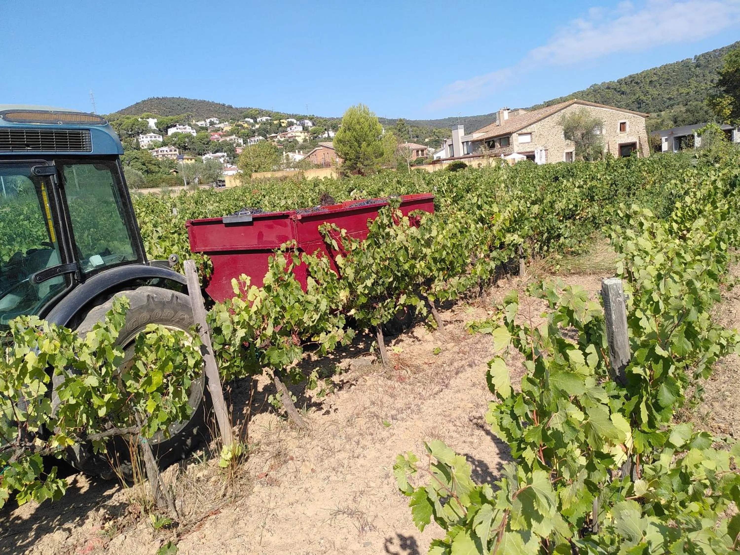 Natural landscape in Hotel Mas del Sol