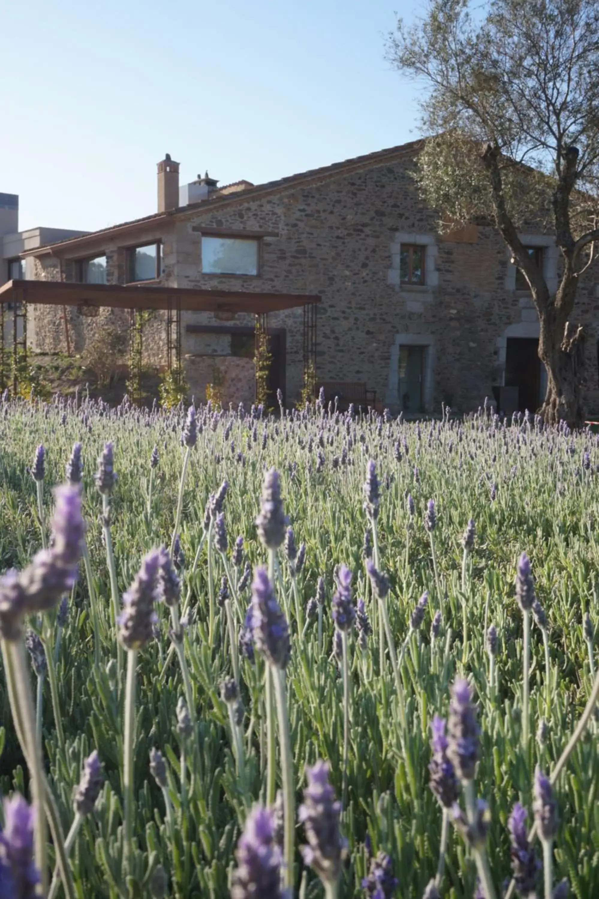 Hotel Mas del Sol Hotel Mas del Sol