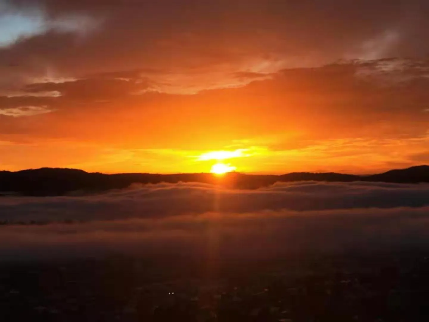 Natural landscape in Hobart View