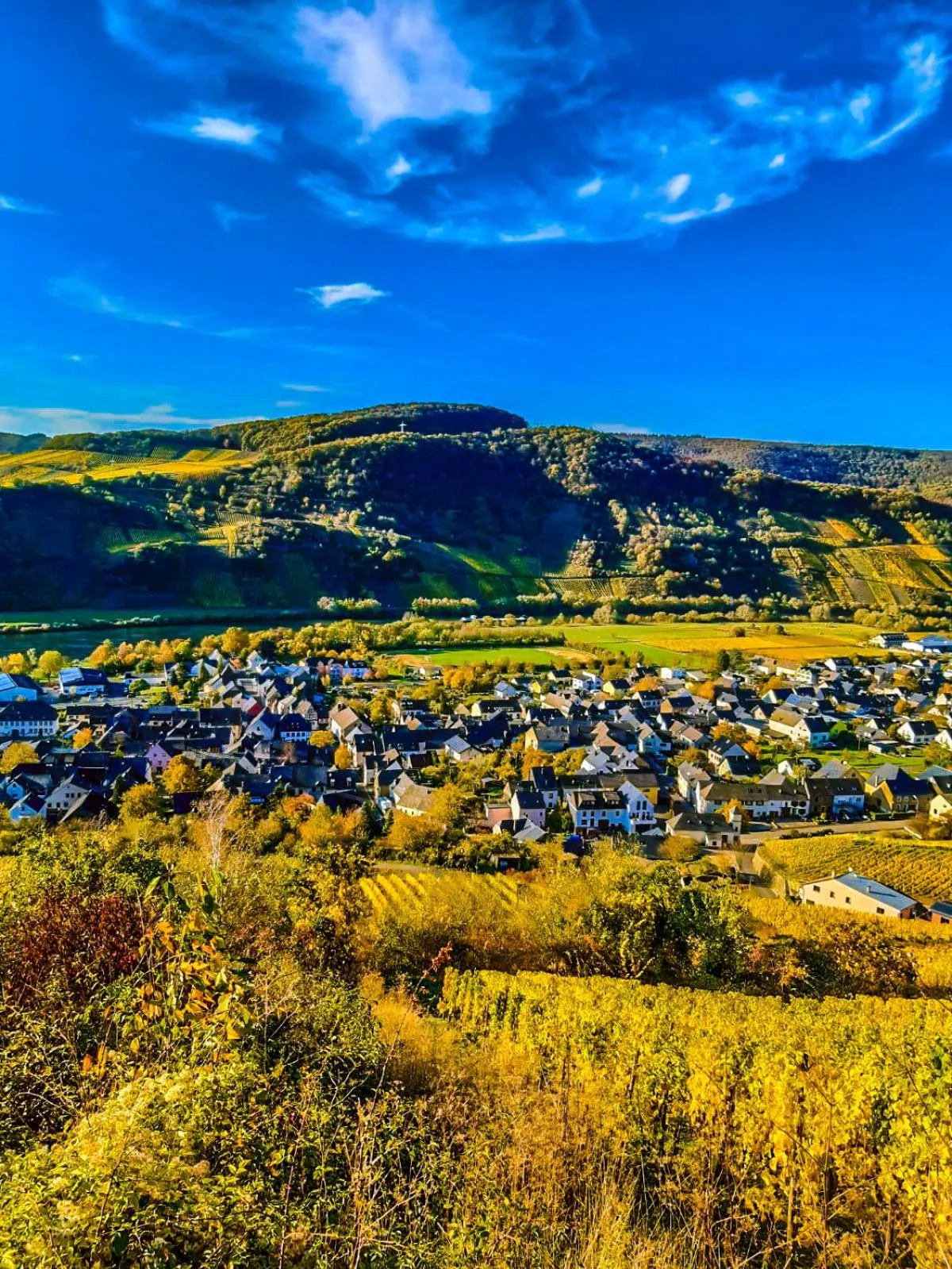 Off site in Moselhotel Weinhaus Simon `Sauna`Restaurant`ELadesäule