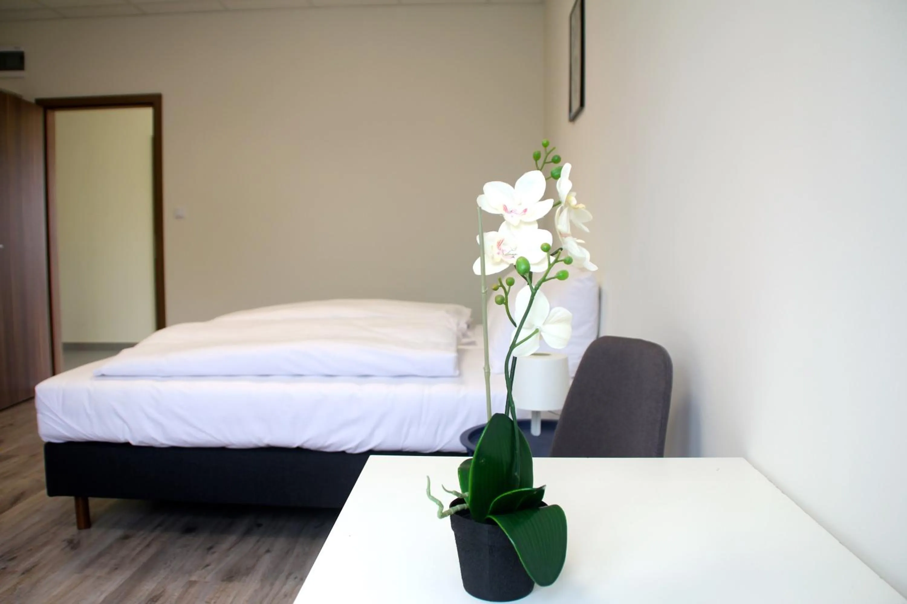 Living room, Bed in Vecsési Rendezvényközpont és Panzió