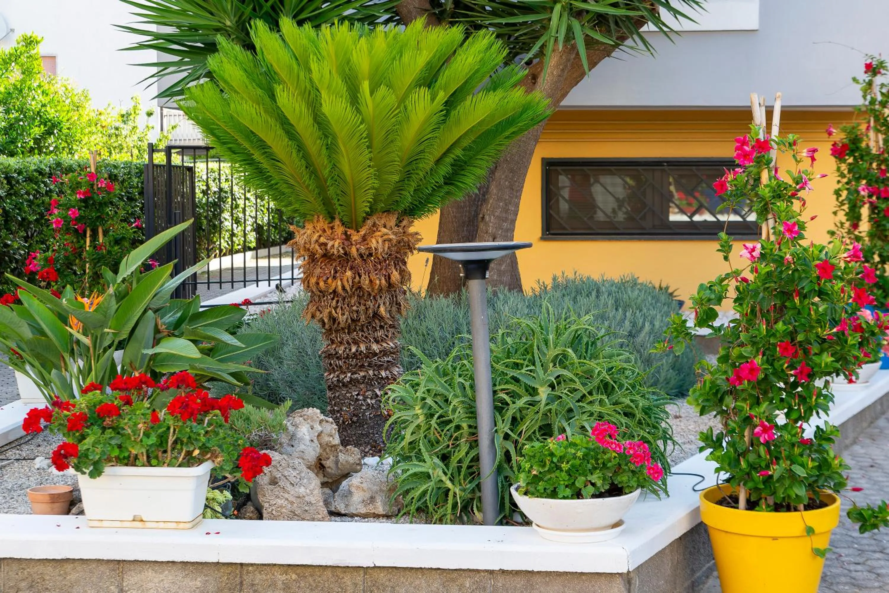 Garden in Bed and Breakfast Marlè