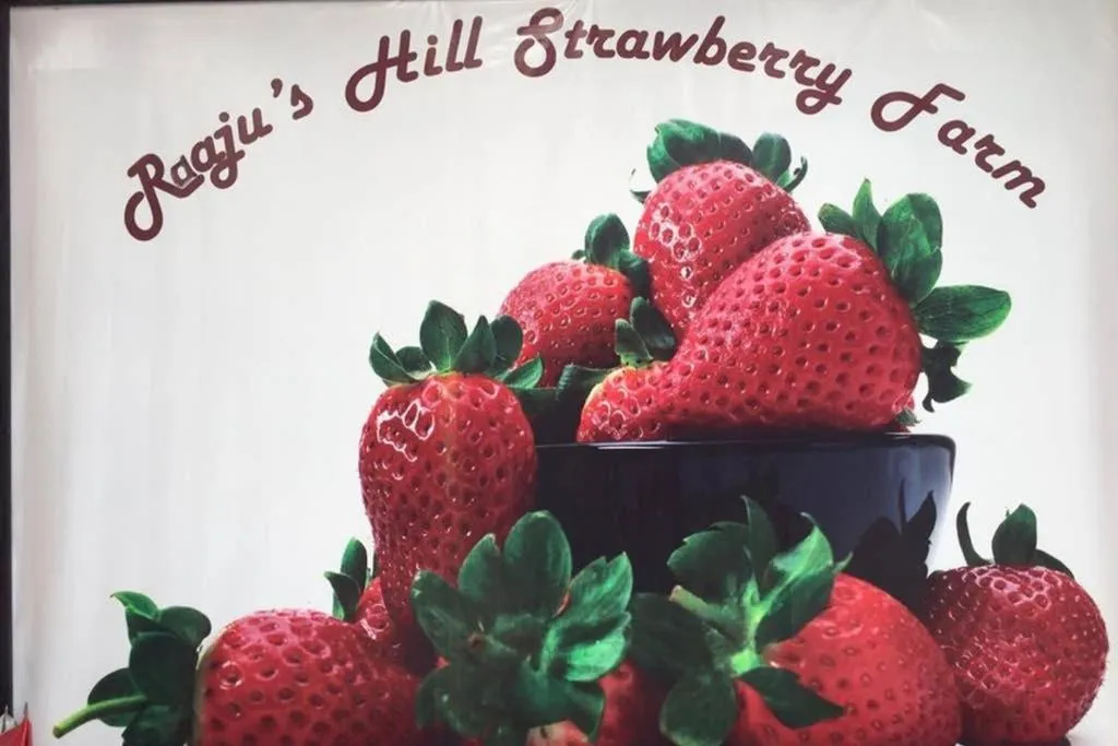 Lily Homestay Barrington Square Cameron Highlands.