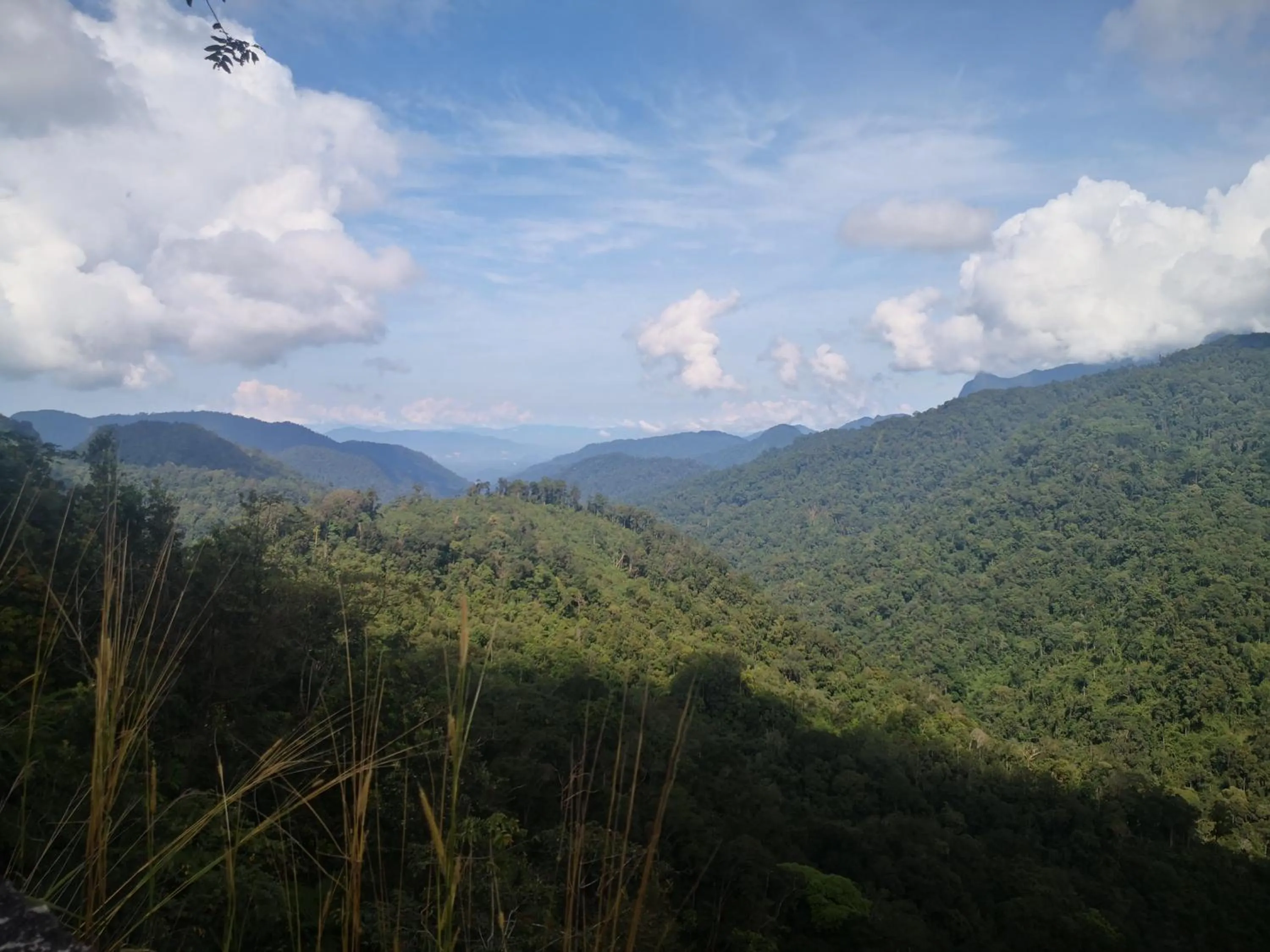 Mountain view in Lily Homestay Barrington Square Cameron Highlands.