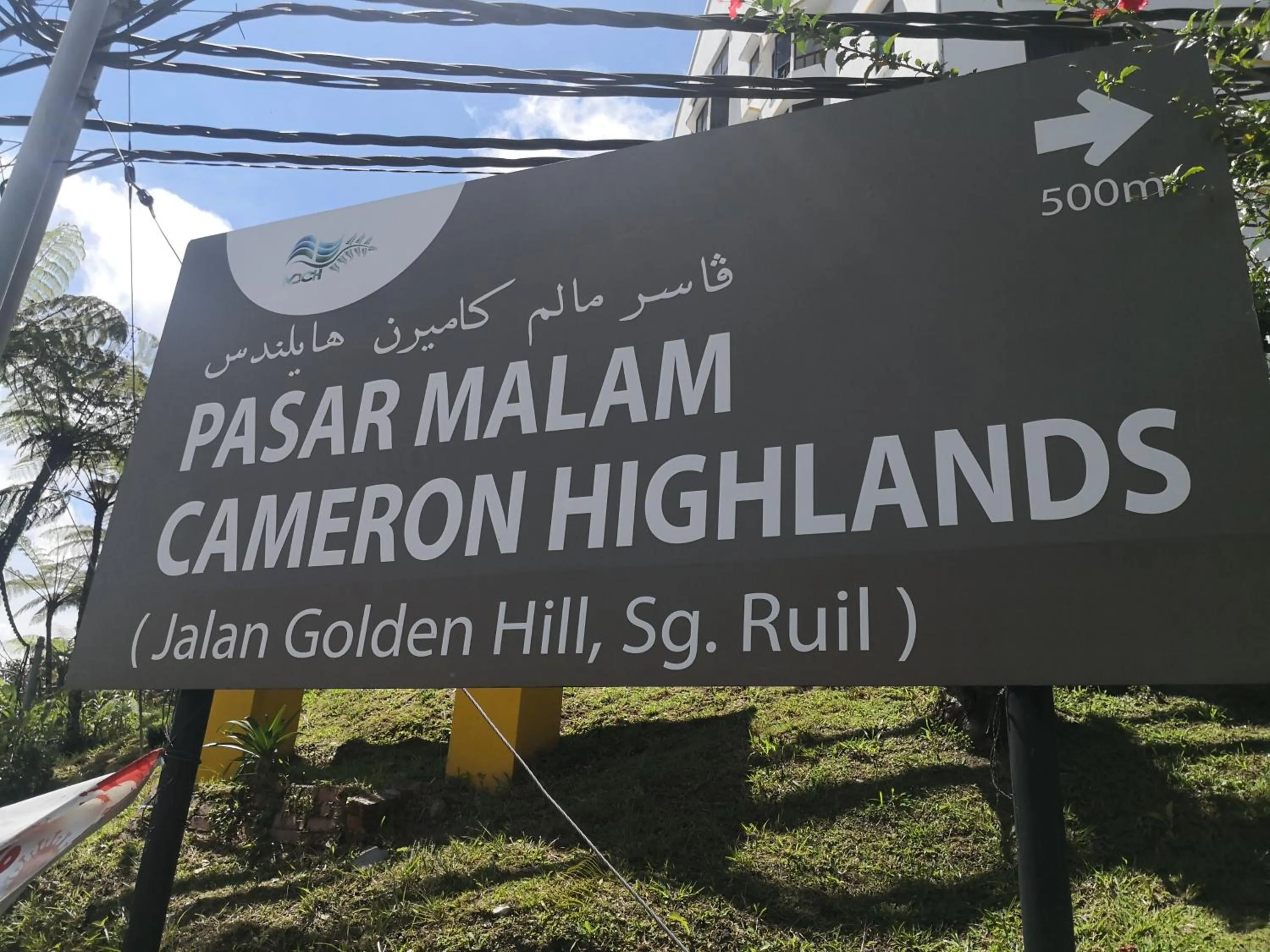 Lily Homestay Barrington Square Cameron Highlands.