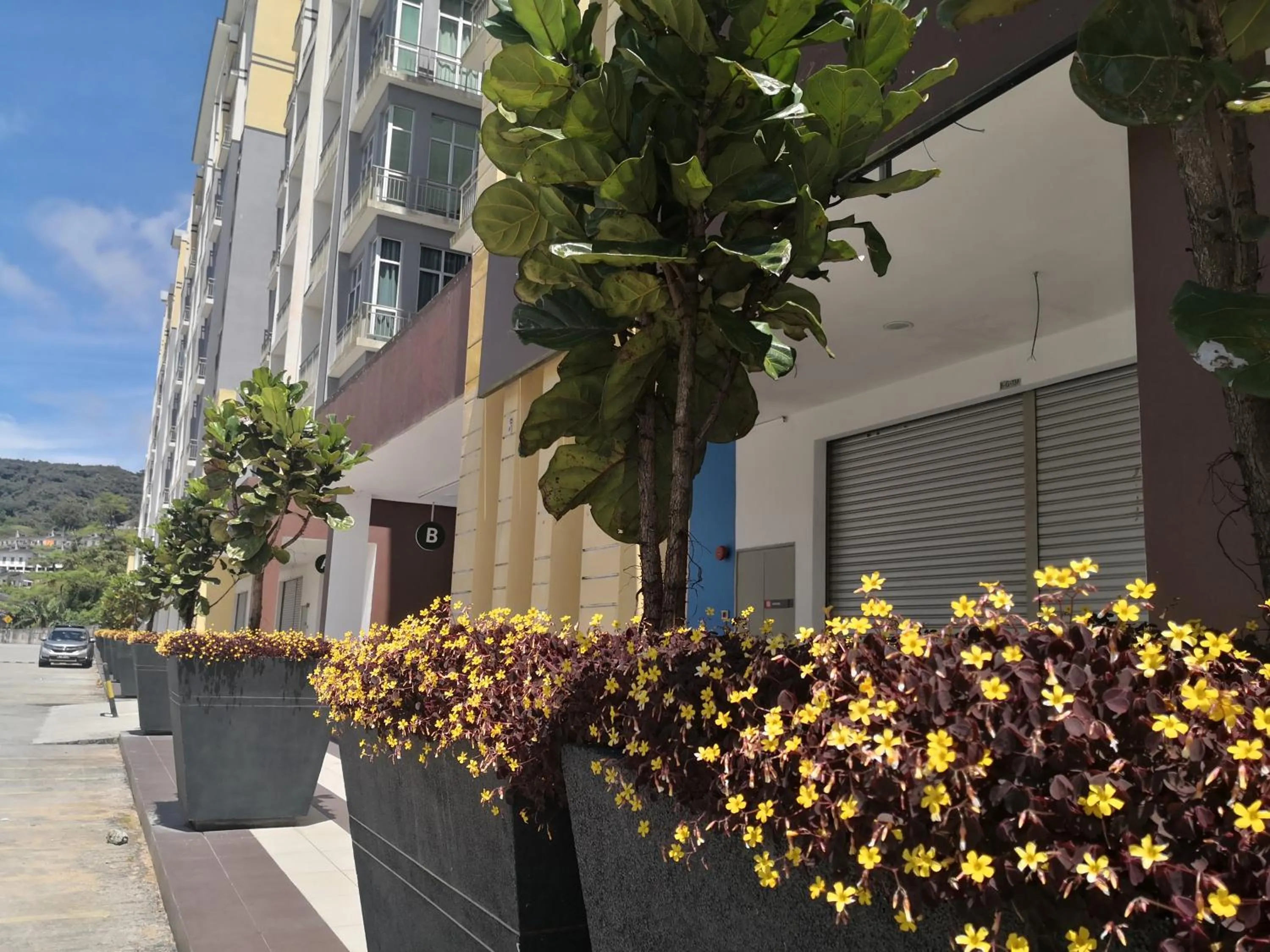 Lily Homestay Barrington Square Cameron Highlands.