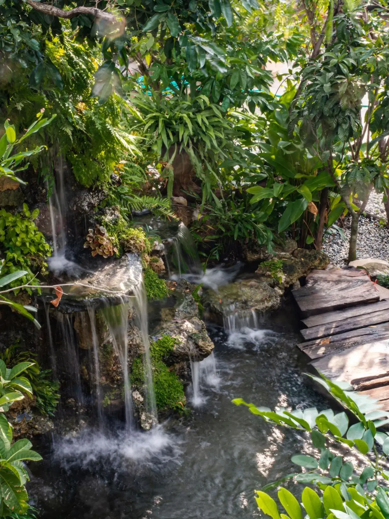 Natural landscape in Crystal Resort Korat Natural landscape in Crystal Resort Korat