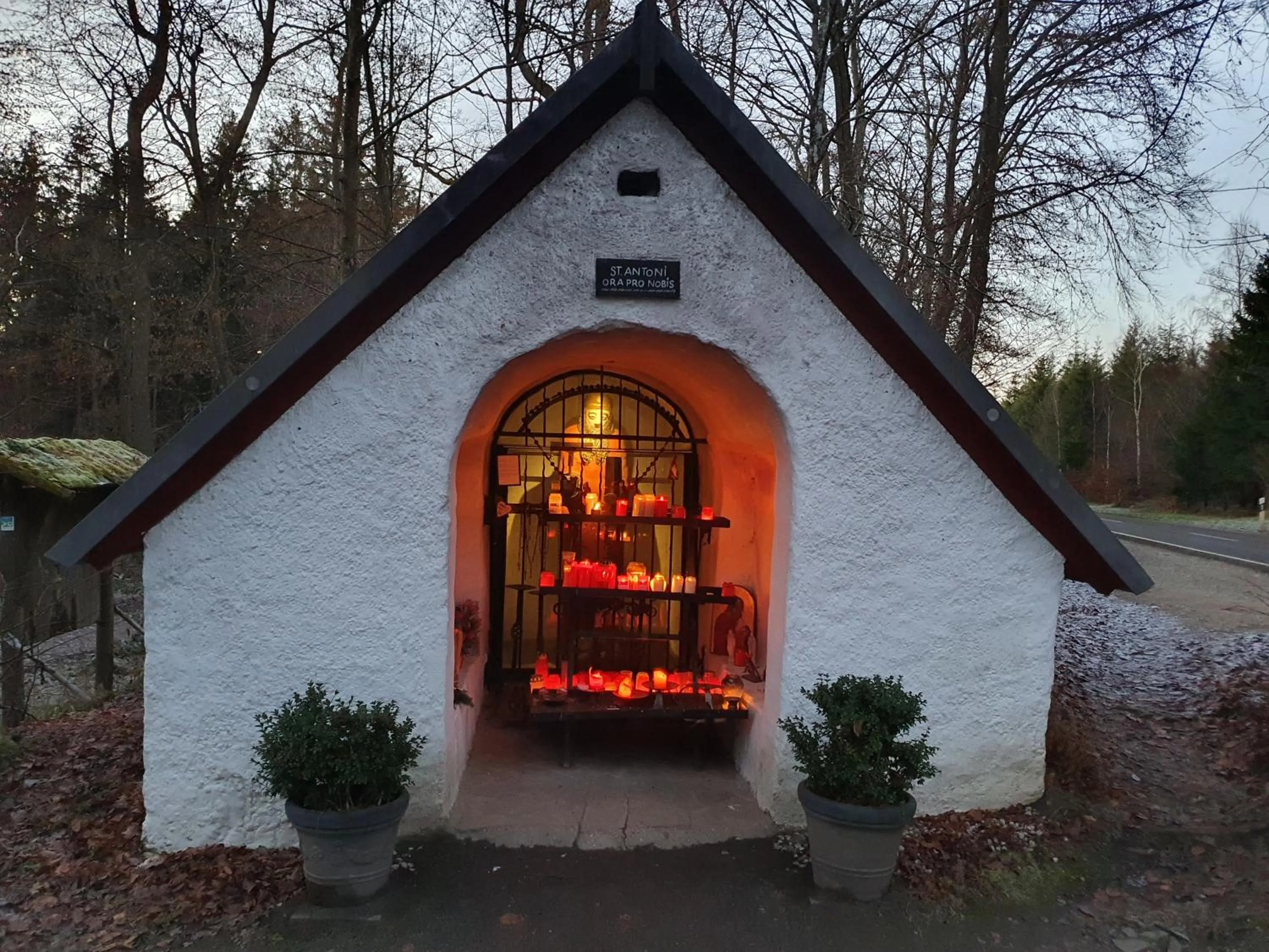 Area and facilities in Hotel zur Waage