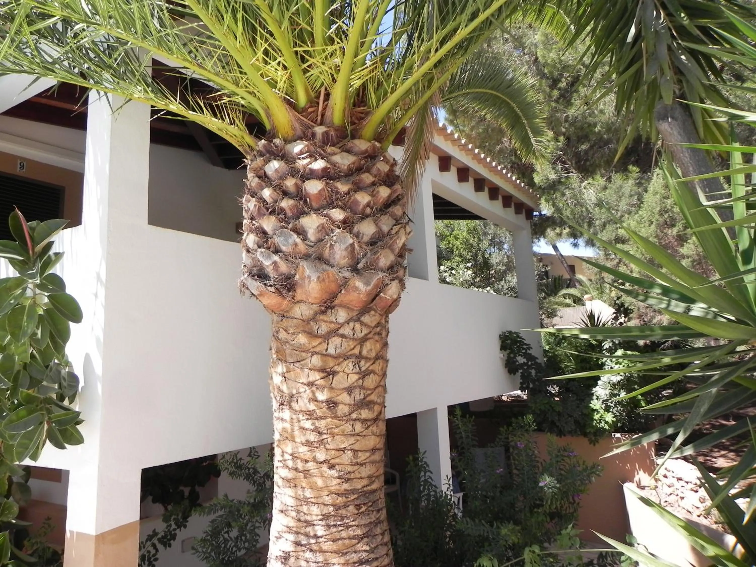 Property building in Viviendas Turísticas Vacacionales Allida