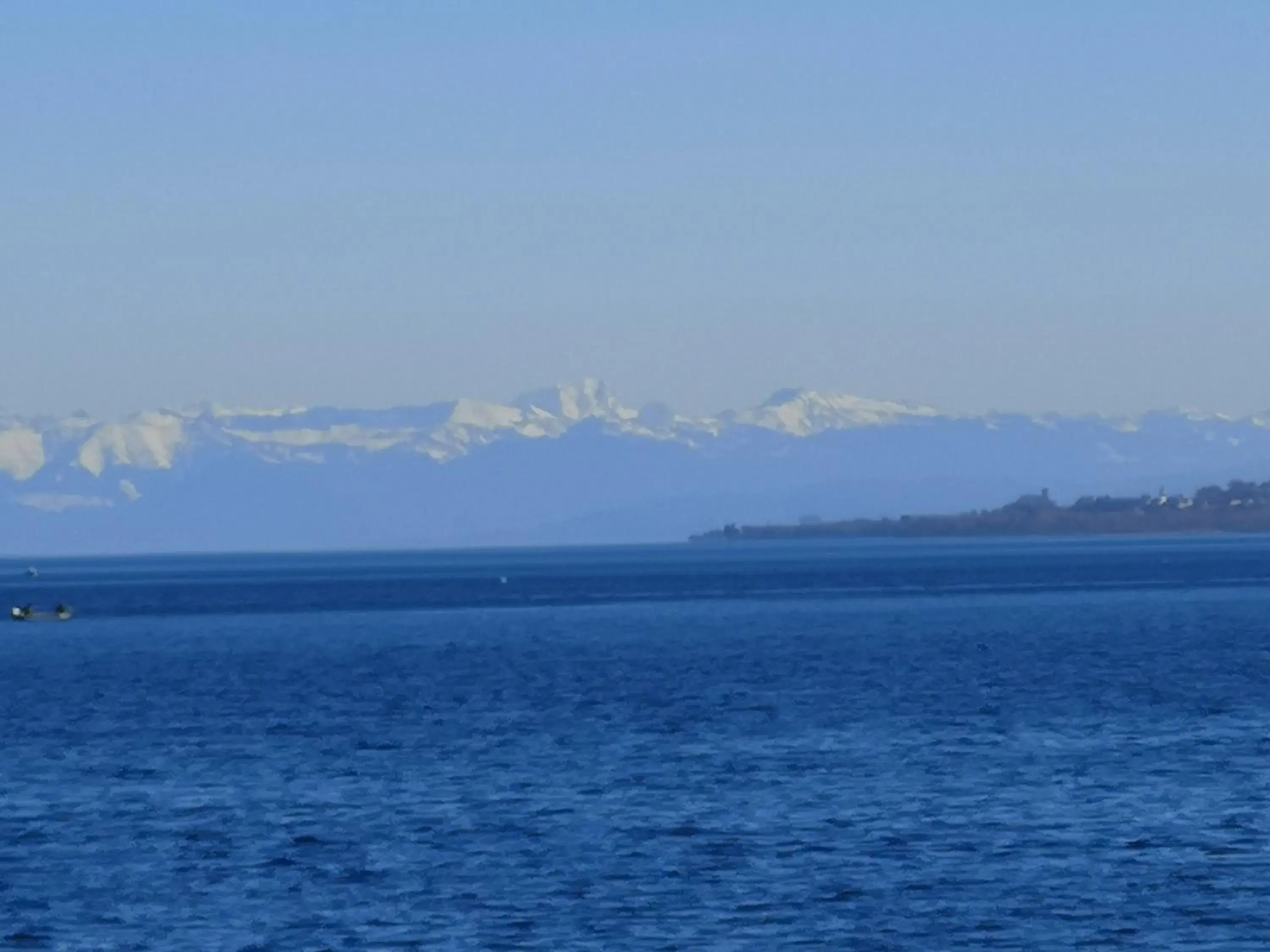 Single Room in Bodenseehotel Krone & Gästehaus Single Room in Bodenseehotel Krone & Gästehaus