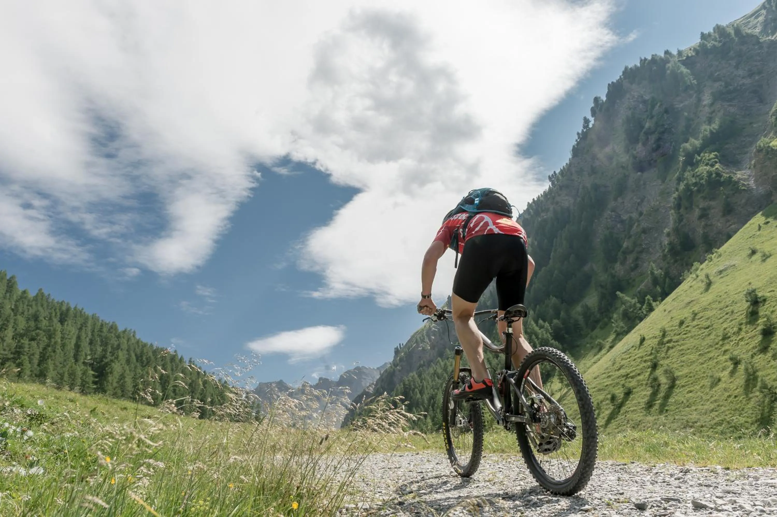 Natural landscape in Chalet Silvretta Hotel & Spa