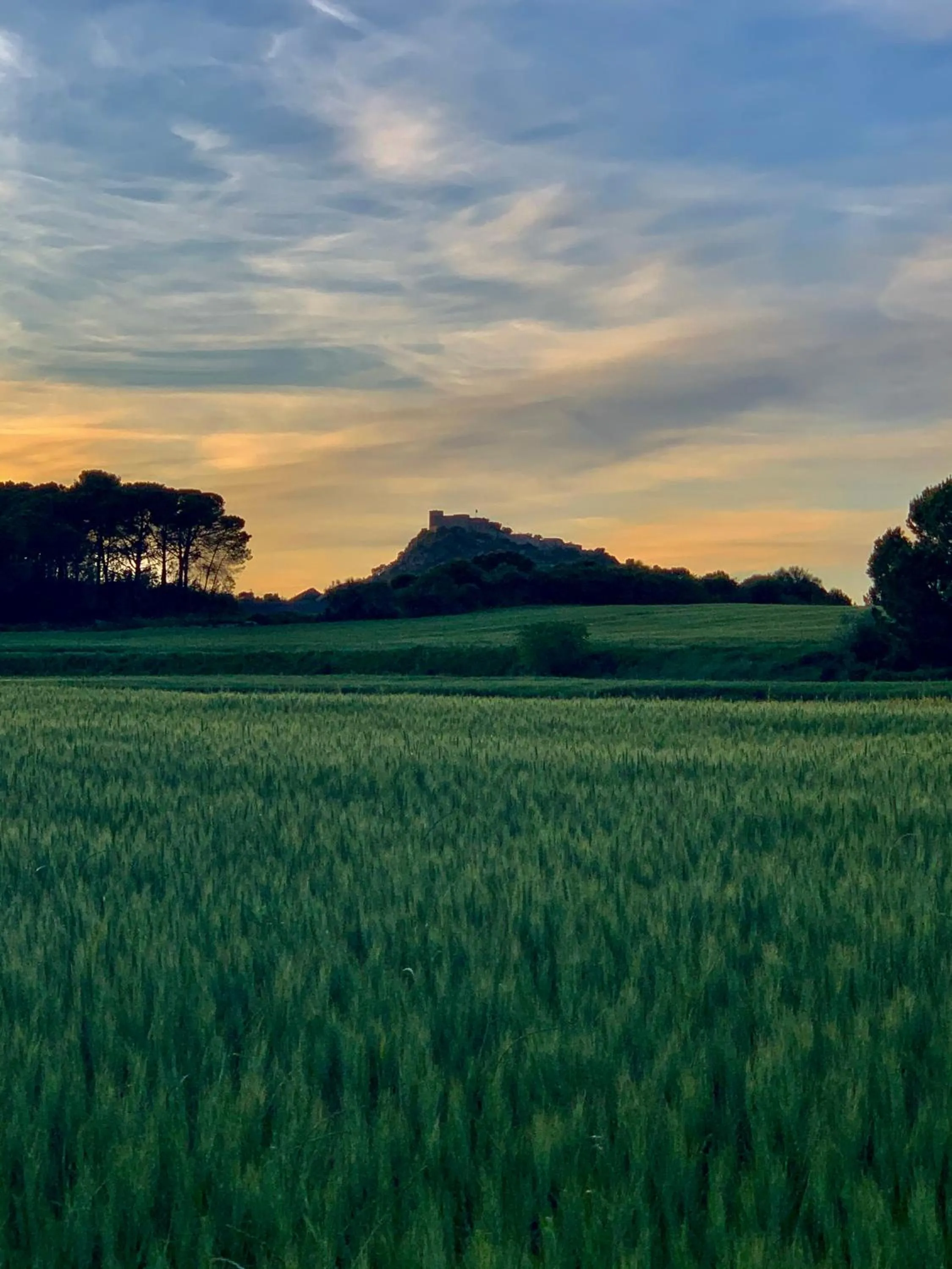 Spring in Hotel Robert