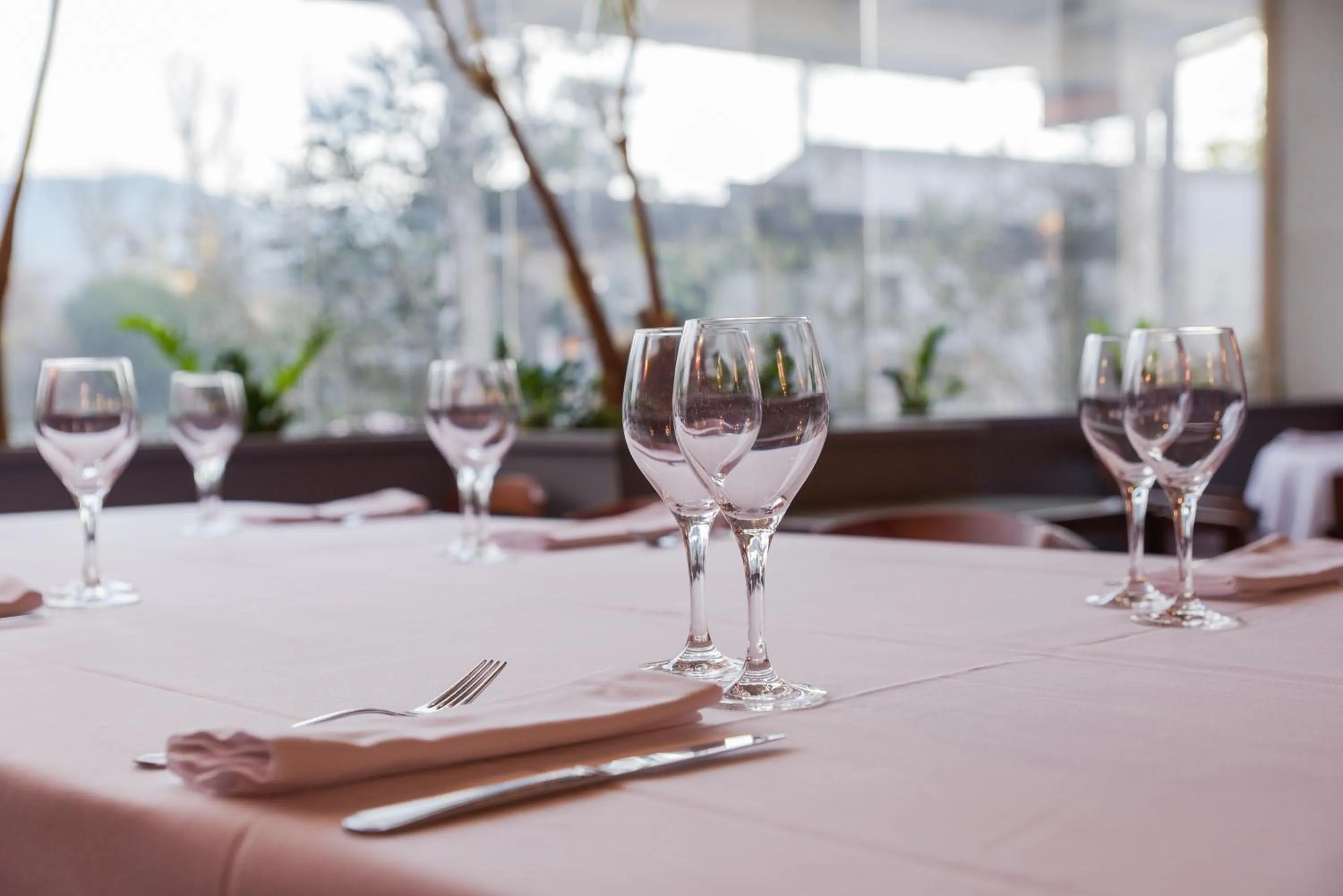 Restaurant/places to eat in Hotel Robert