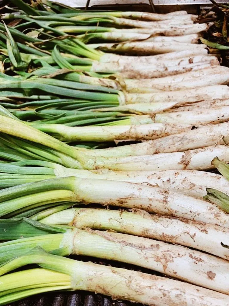 Food in Hotel Robert