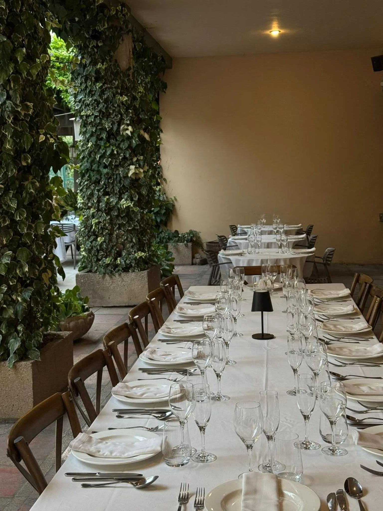 Restaurant/places to eat in Hotel Robert