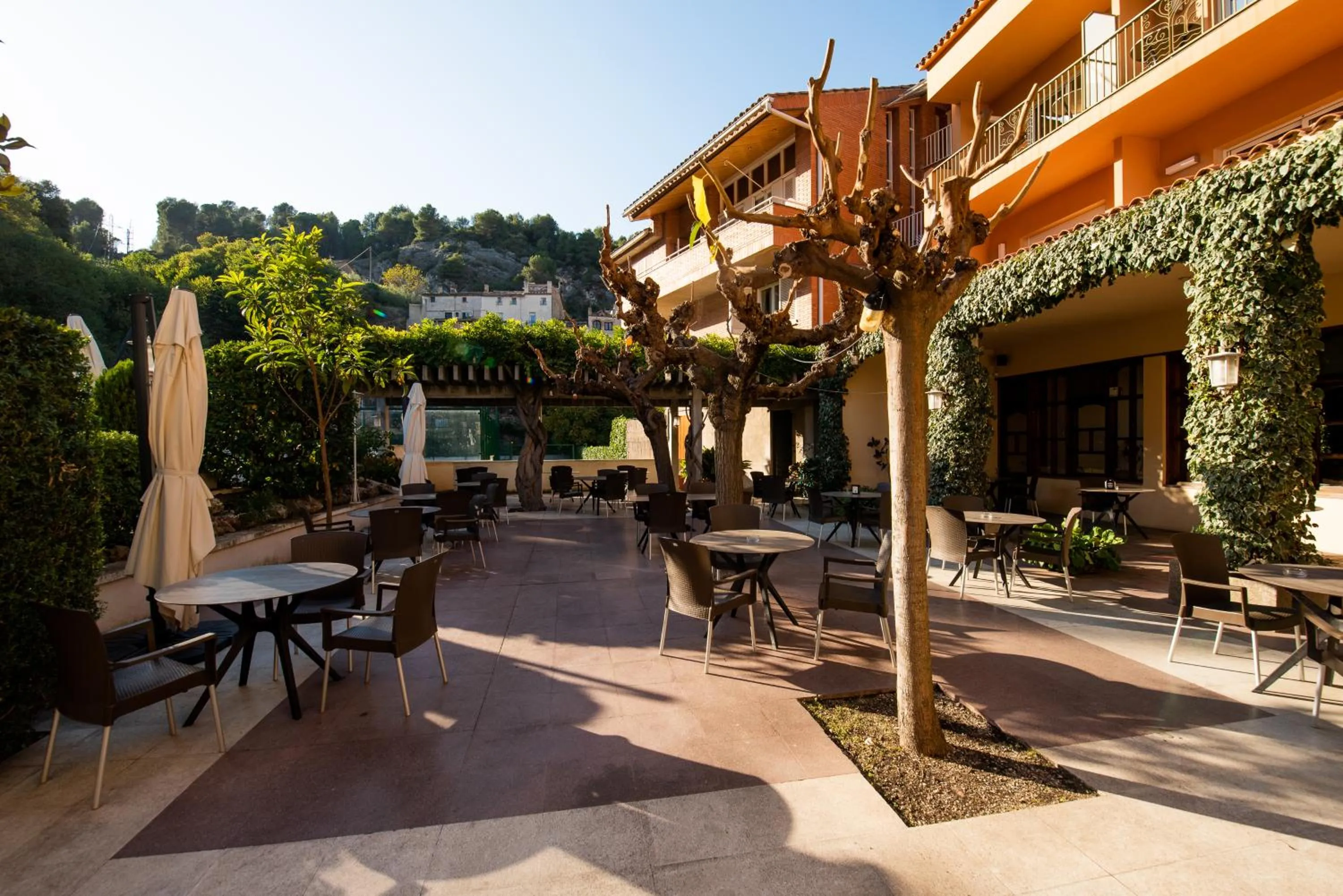 Patio in Hotel Robert