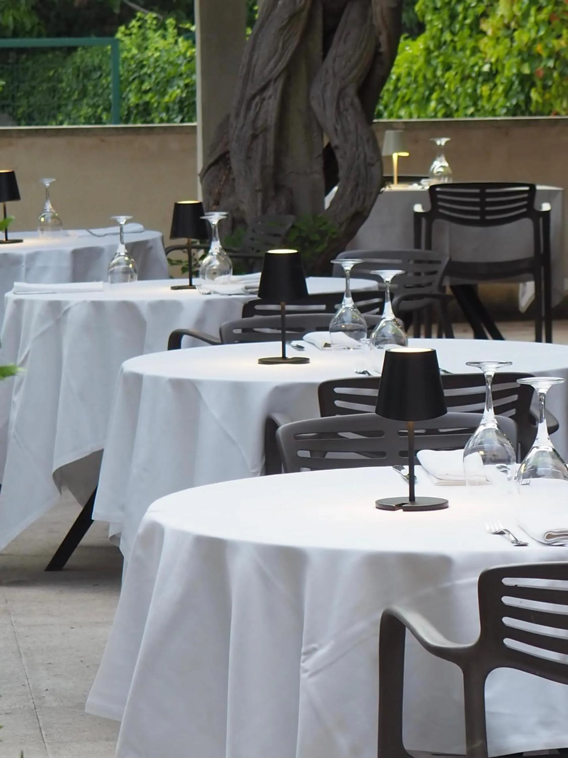 Restaurant/places to eat in Hotel Robert