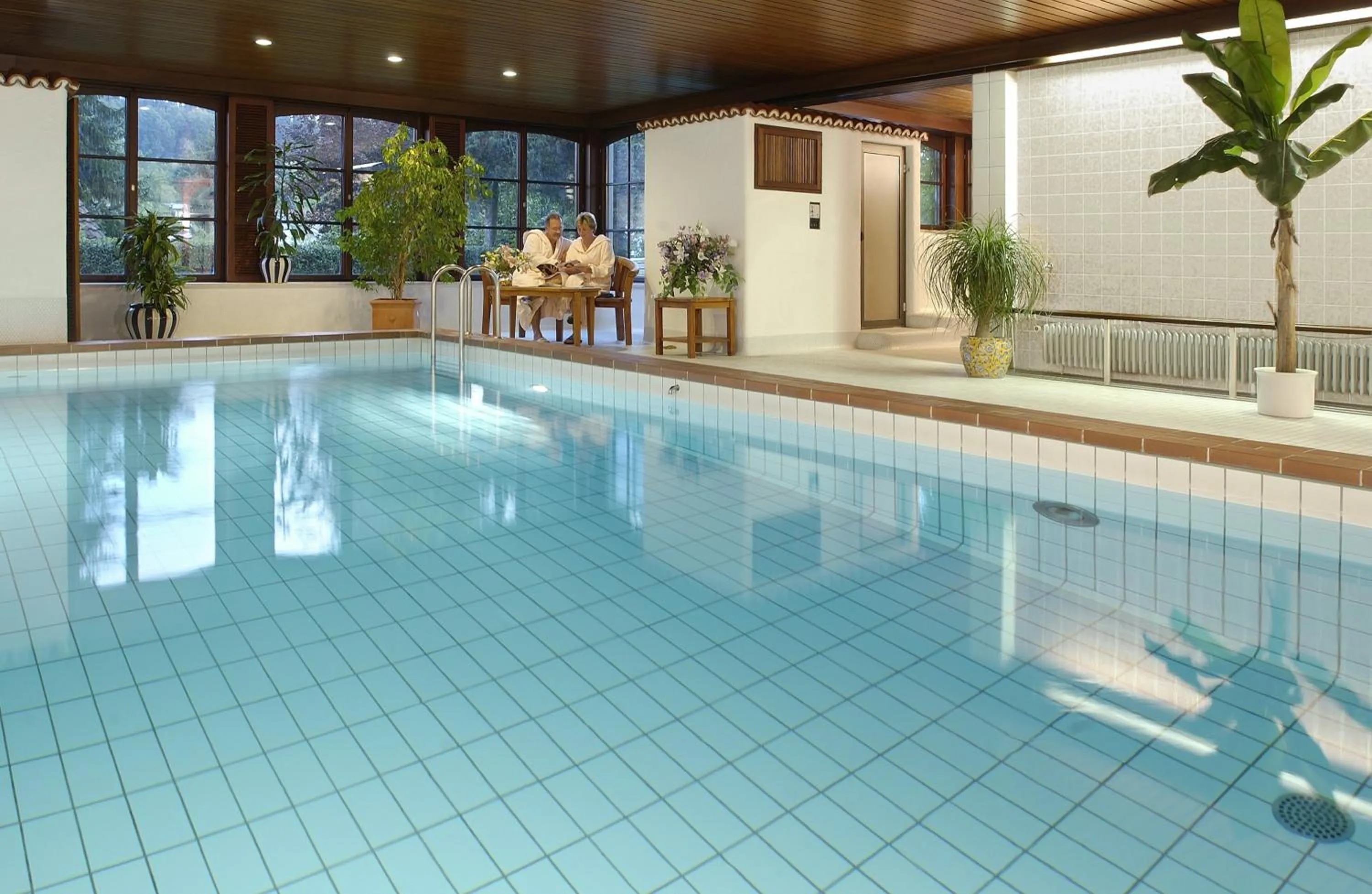 Swimming pool in Hotel Hohe Linde