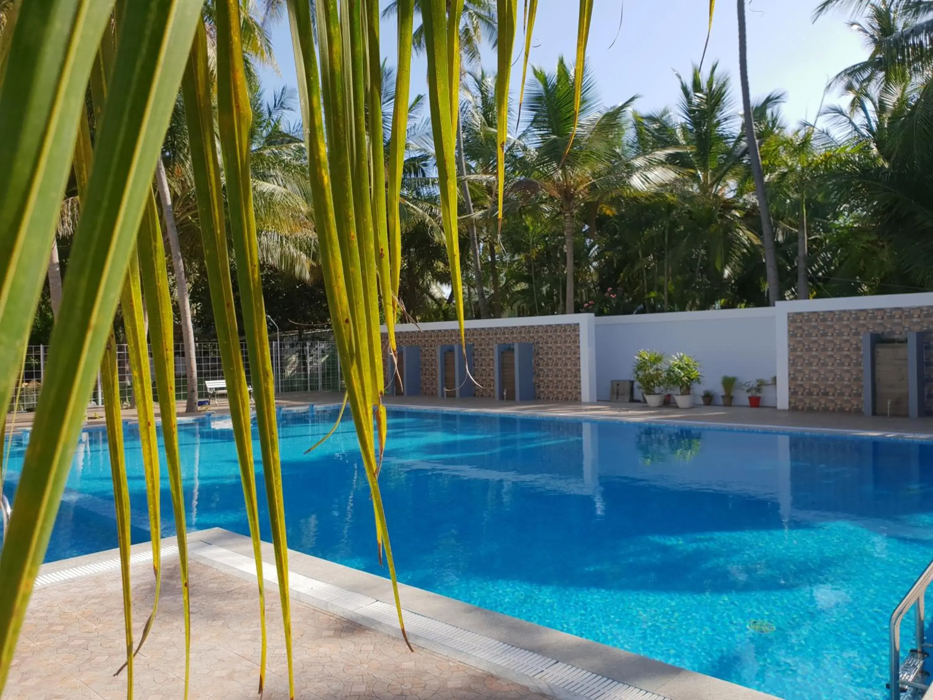 Swimming pool in RK RESORTS Swimming pool in RK RESORTS