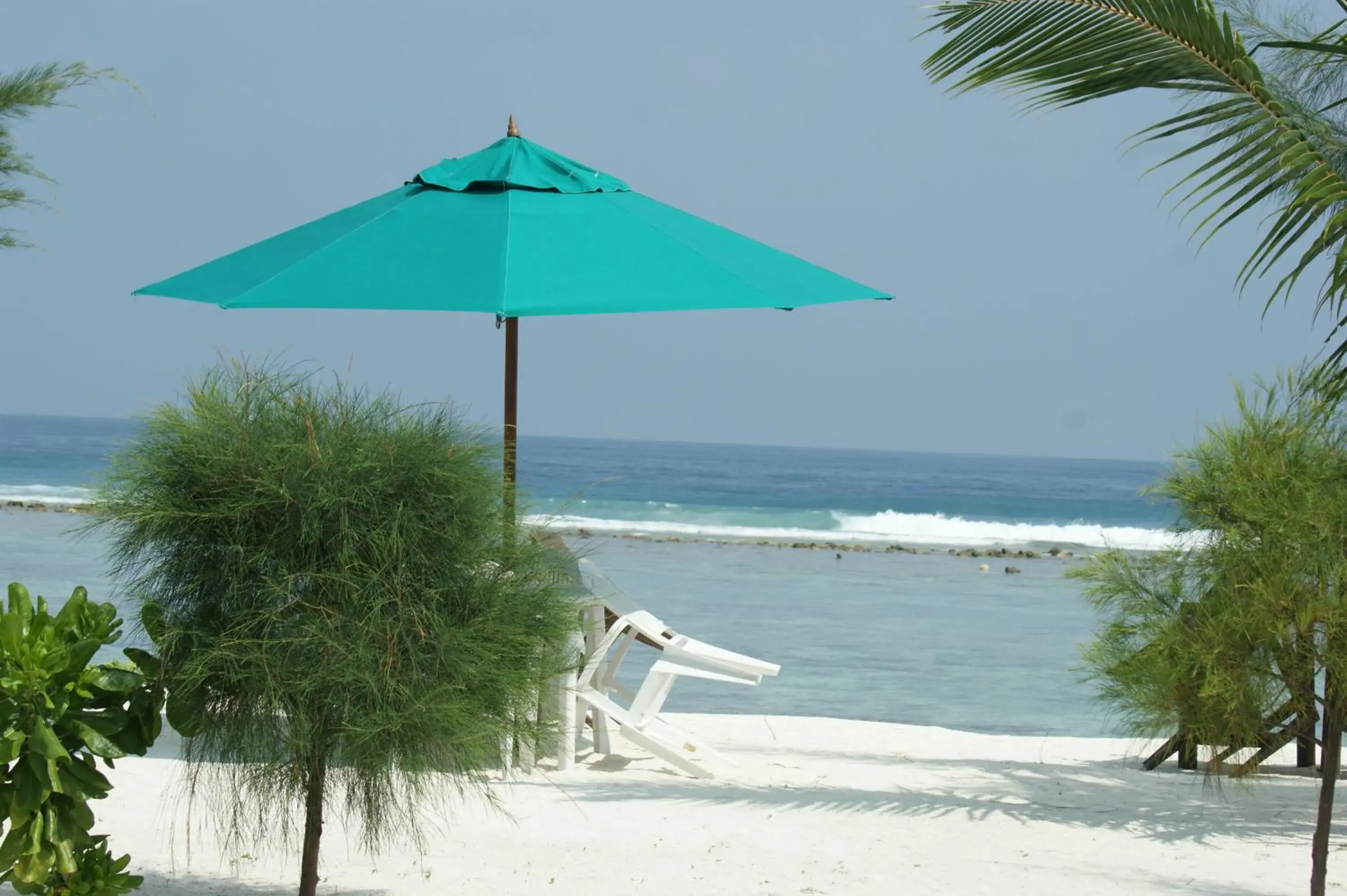 View (from property/room) in Rivethi Beach View (from property/room) in Rivethi Beach