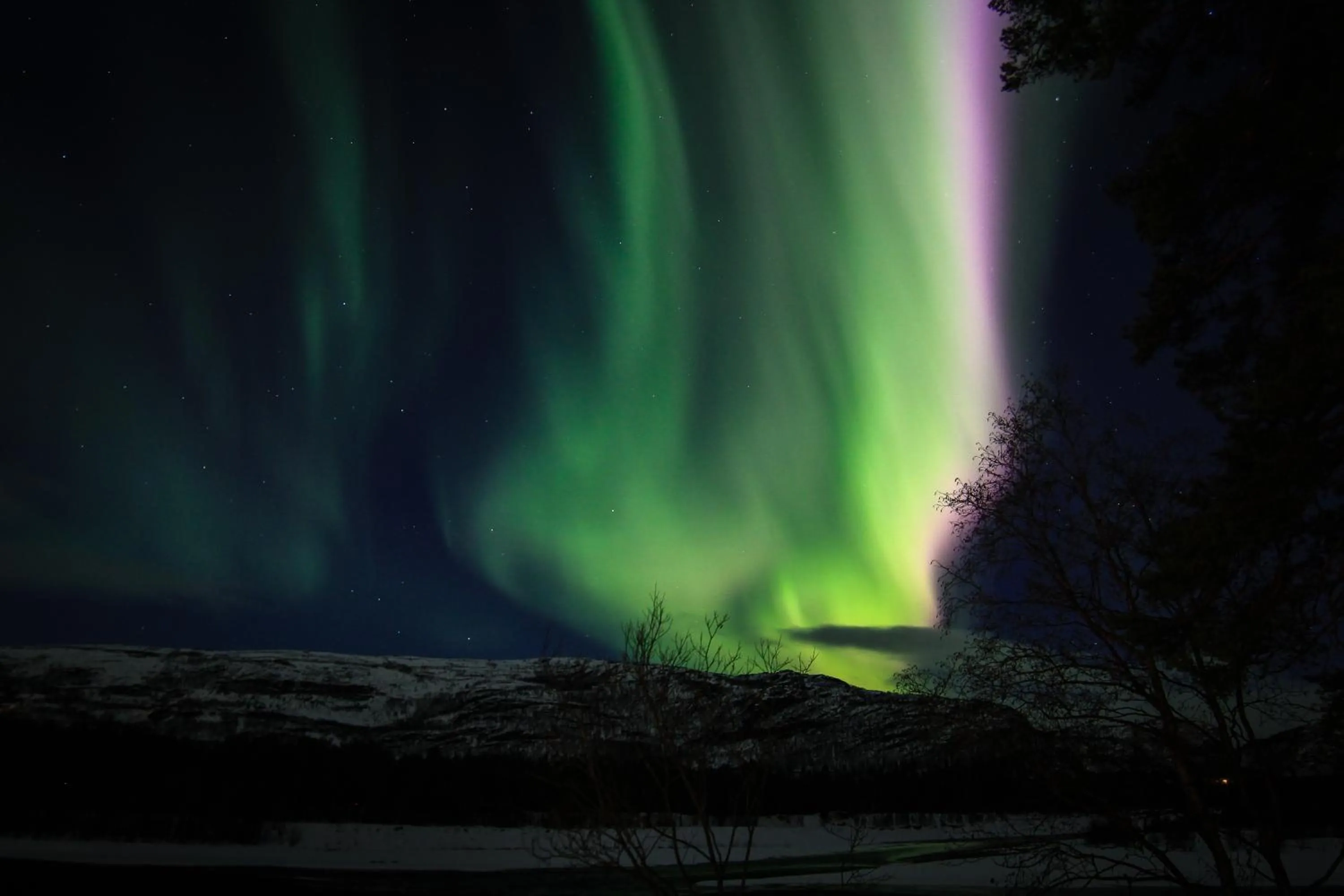 Activities in Sorrisniva Arctic Wilderness Lodge