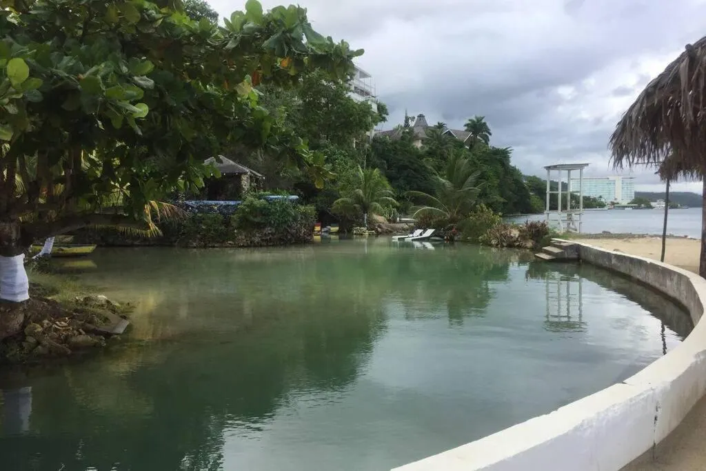 Natural landscape in Contemporary Ocean view 2bed Carib Ocho Rios Condo