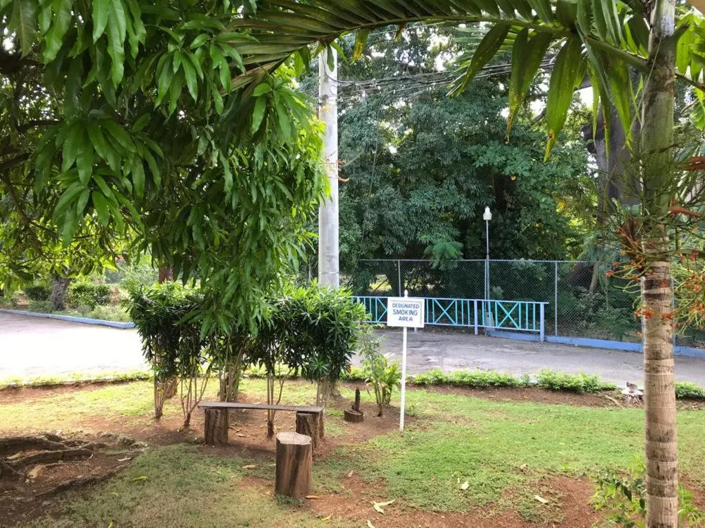 Garden in Contemporary Ocean view 2bed Carib Ocho Rios Condo