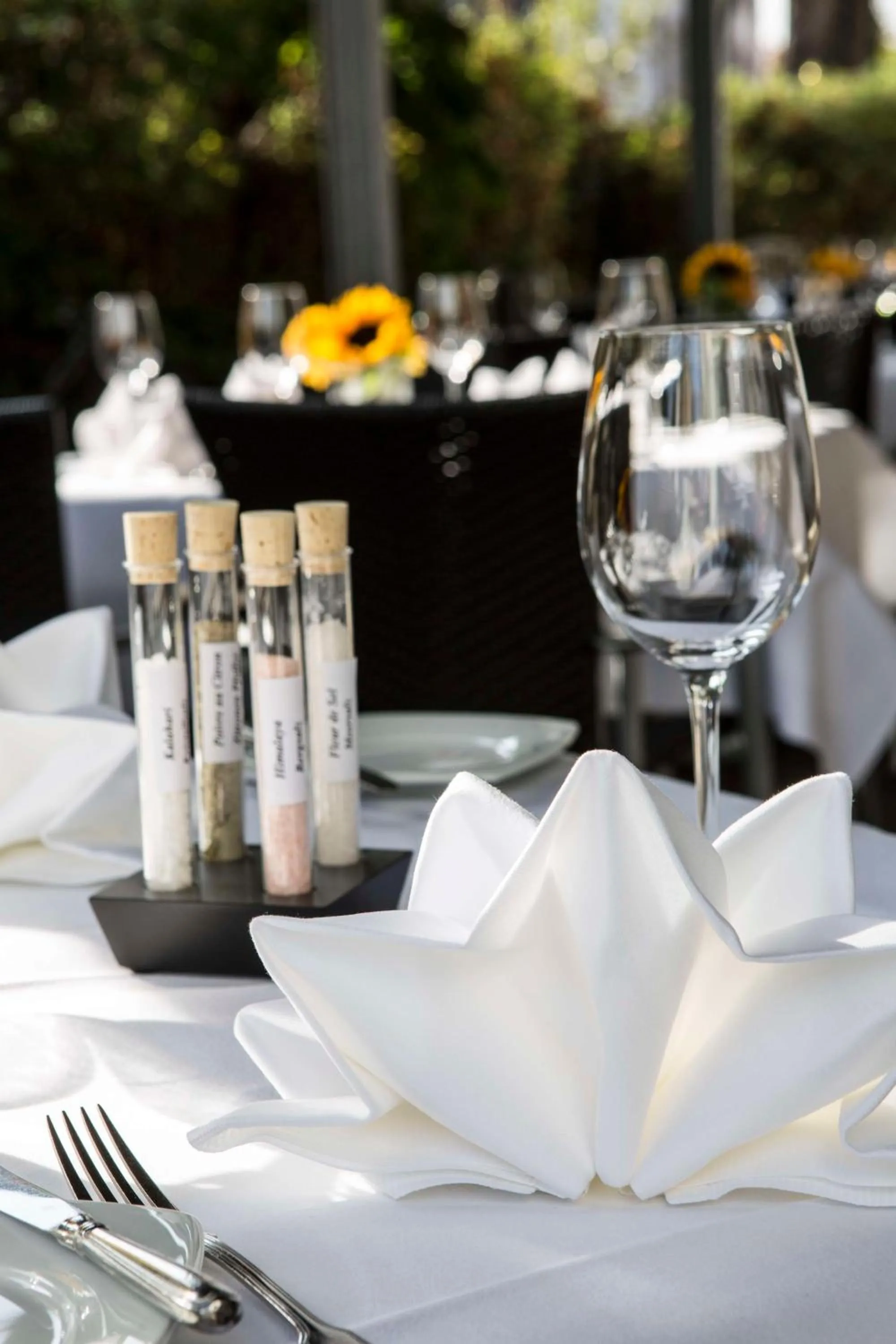 Food and drinks in Best Western Plus Hotel Am Schlossberg