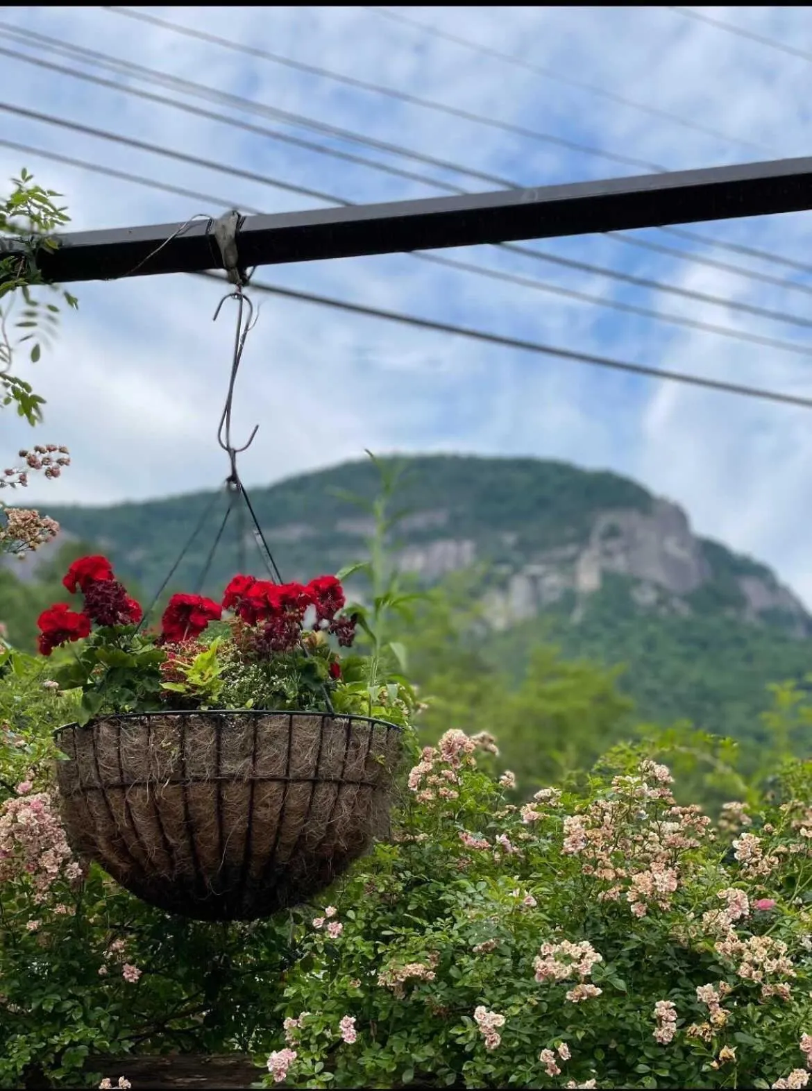 Property building in Geneva Hotel & Tiki Bar